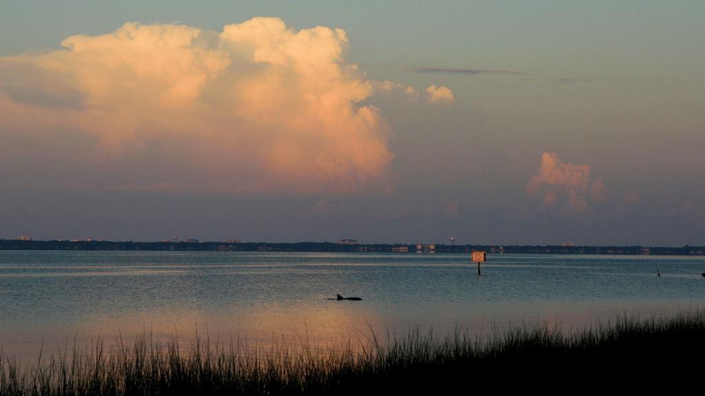 Southwind - Residential