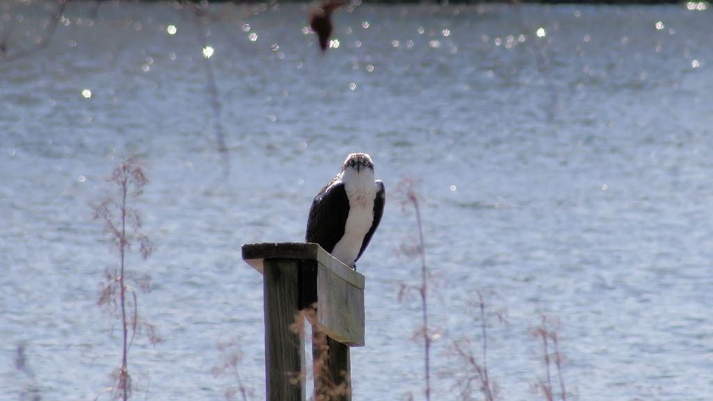 Southwind - Residential