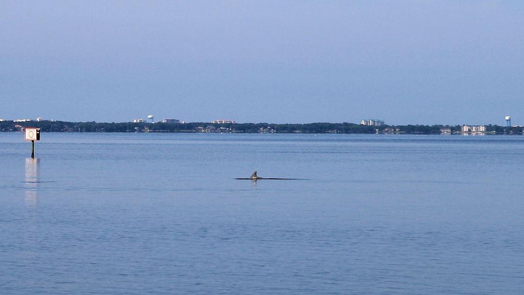 Southwind - Residential