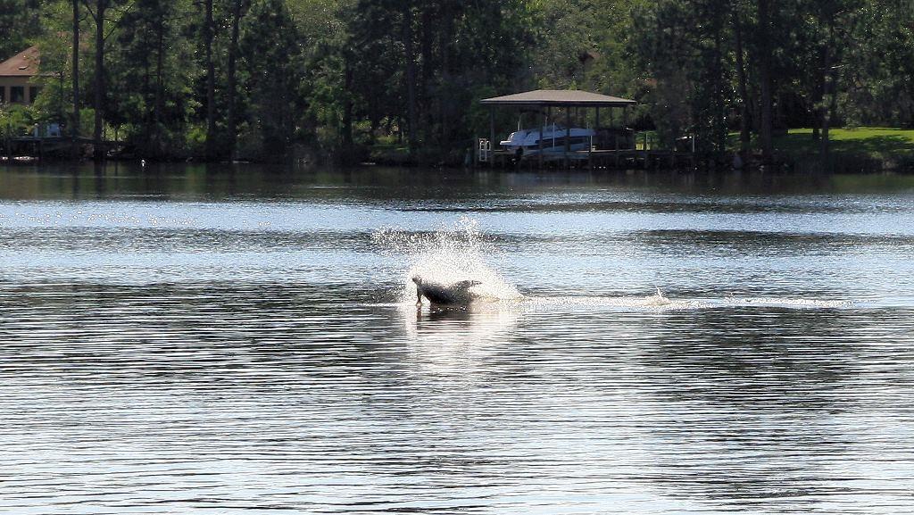 Southwind - Residential