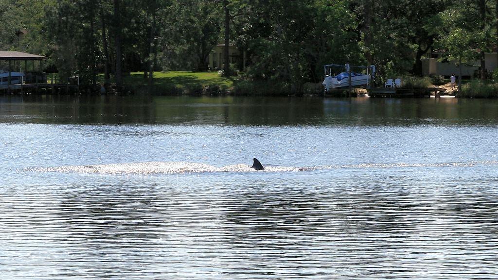 Southwind - Residential