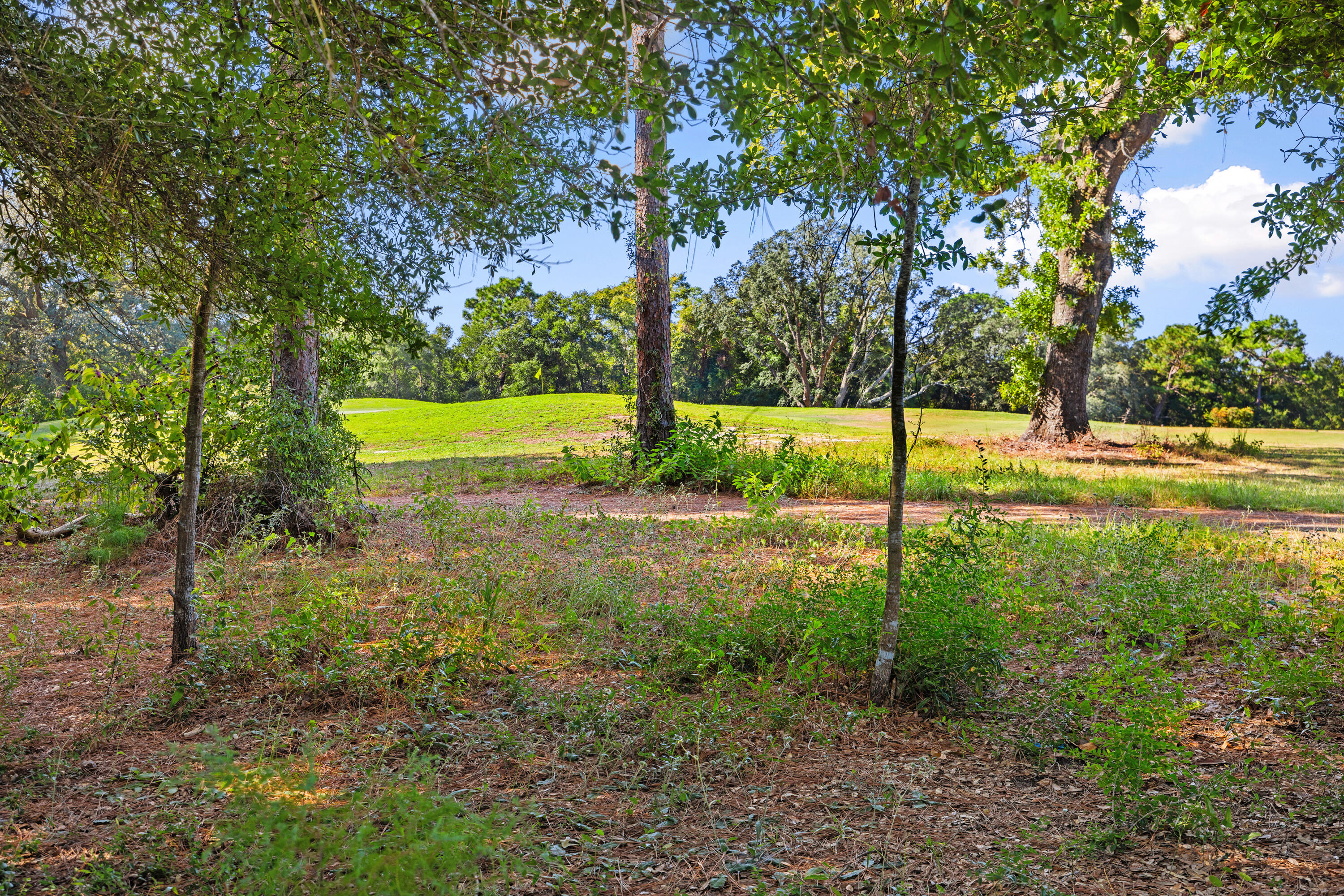 CEDAR RIDGE - Residential