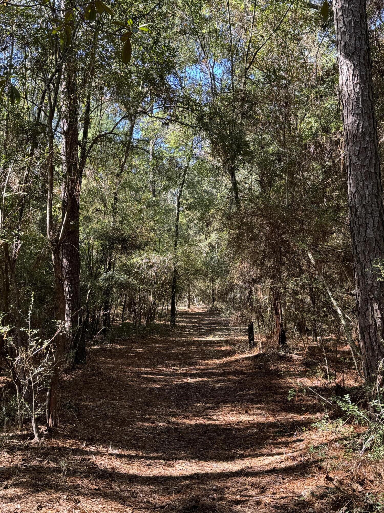 Bowers Family Property - Land