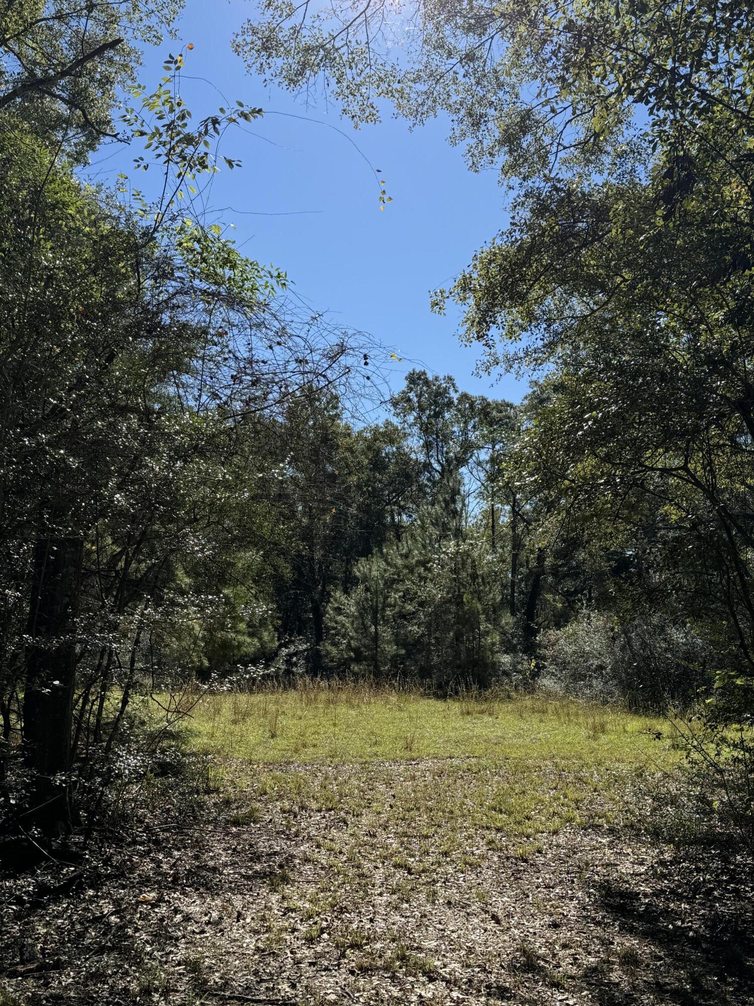 Bowers Family Property - Land