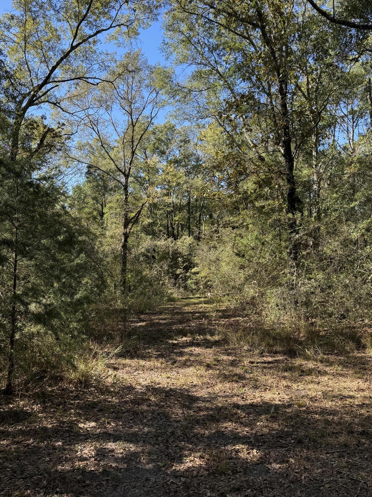 Bowers Family Property - Land