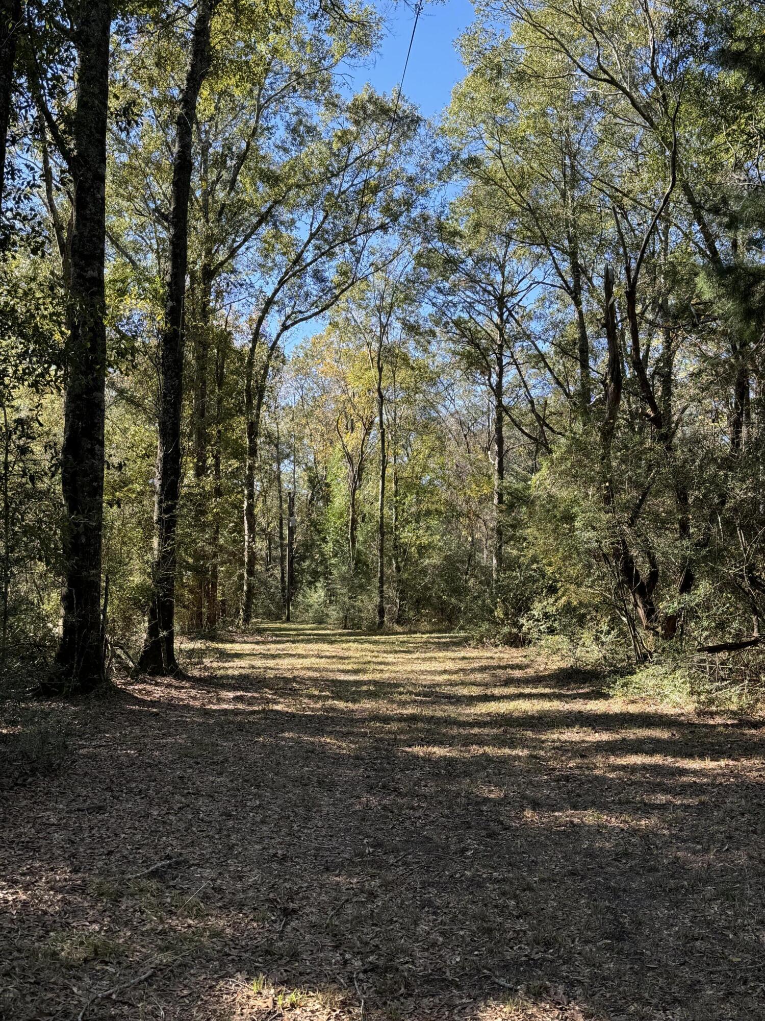 Bowers Family Property - Land