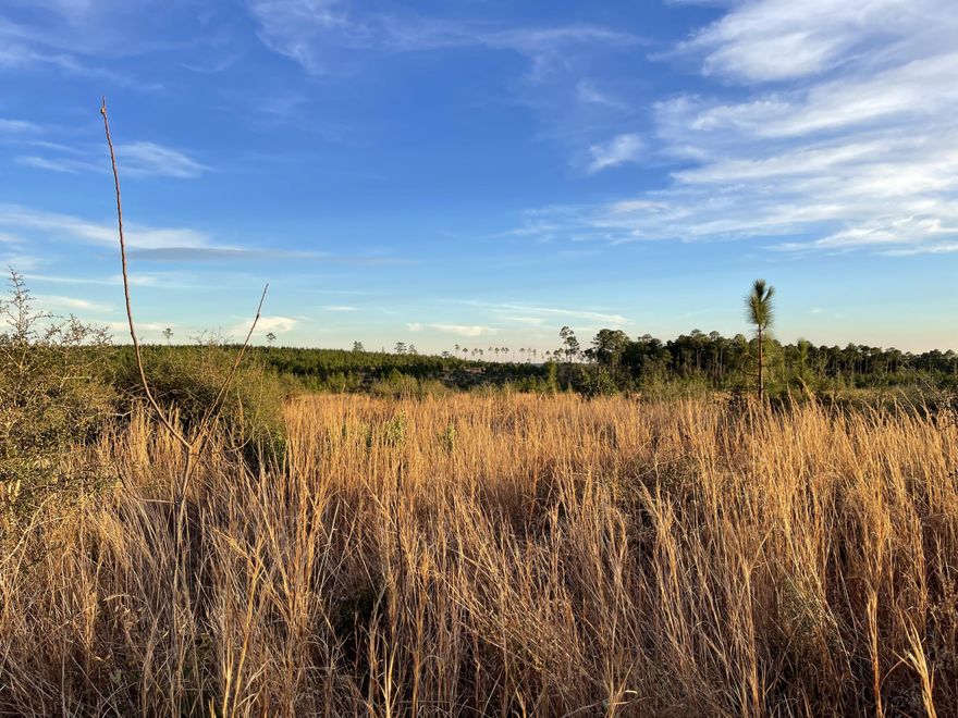 Bring your Build plans today!18+/- Acres of Beautiful timberland. Local Schools: Central for Elementary, Central High School for both Middle and High schoolers.