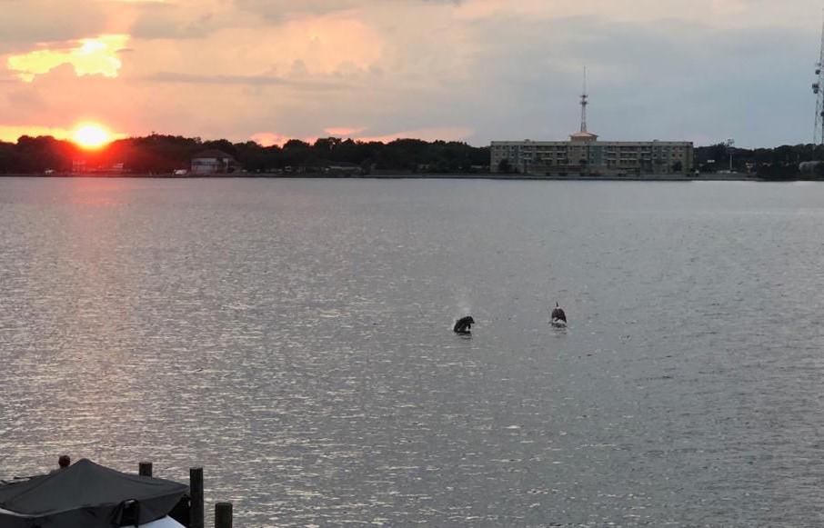 SNUG HARBOR - Residential Lease