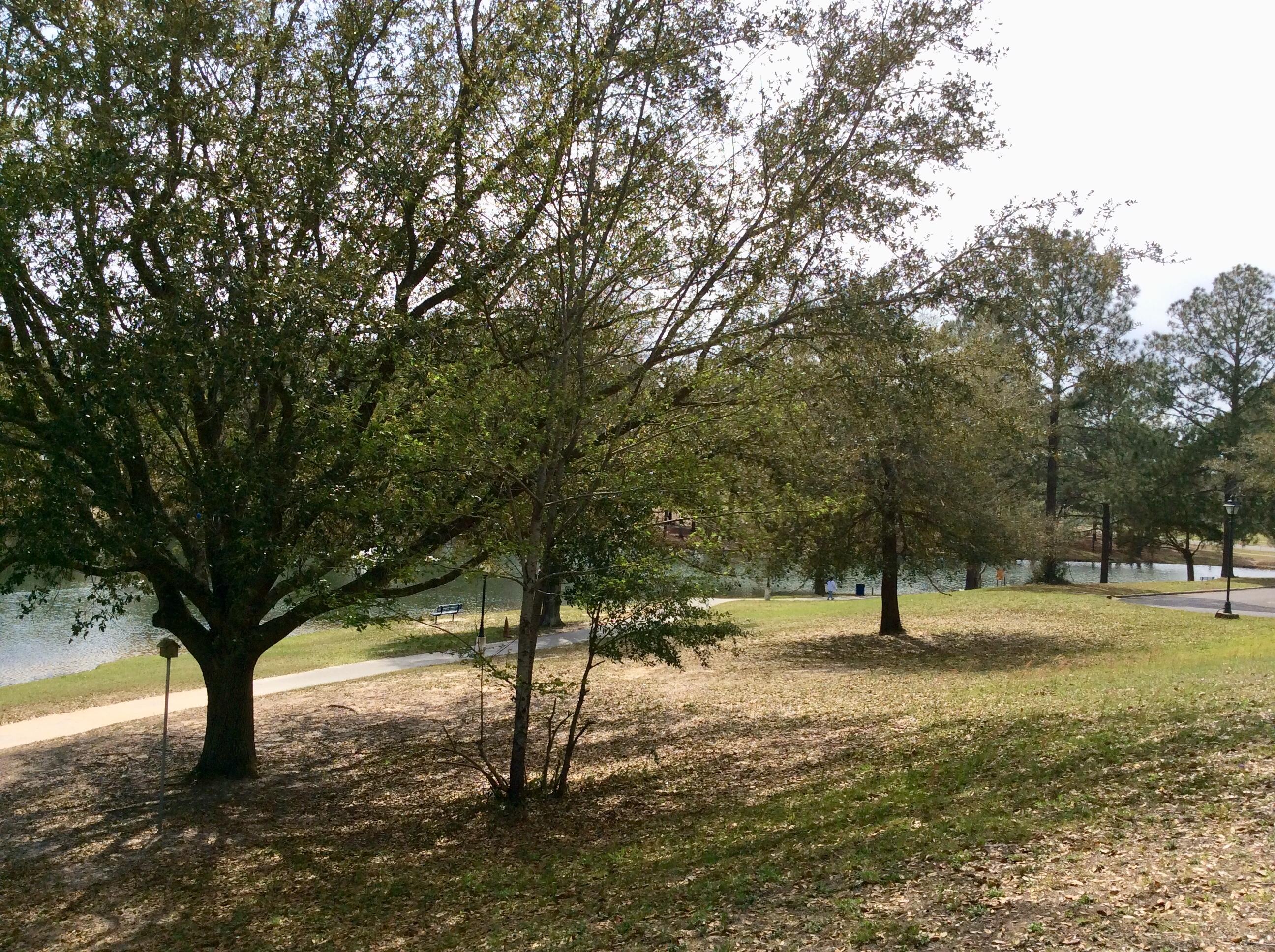 NO RECORDED SUB-DIVISION - Residential