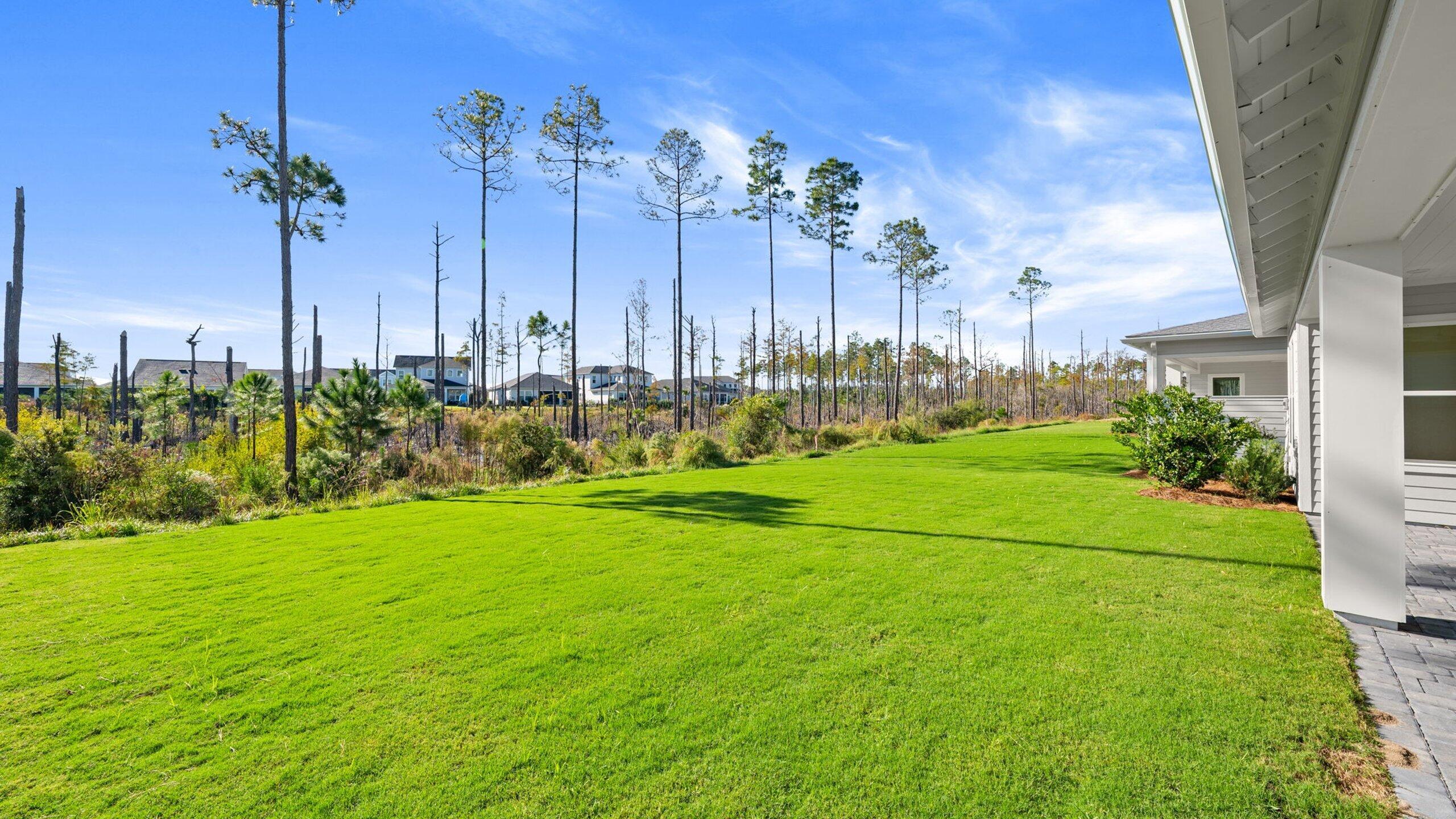 Naturewalk at Watersound Origins - Residential