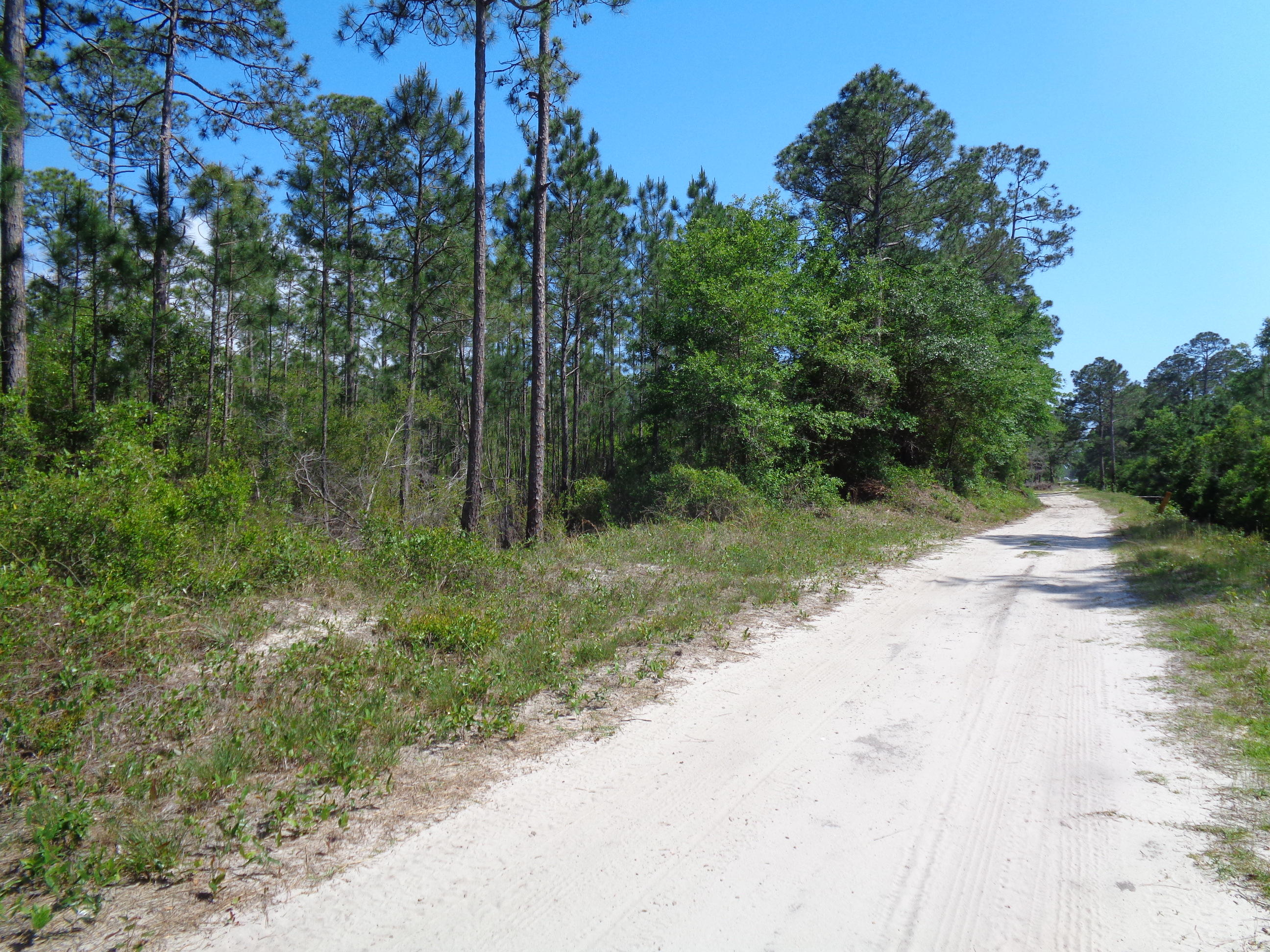 Beautiful wooded parcel located in South Walton's Town Center allowing the highest development intensity. One Seller is Licensed Florida Real Estate Broker. ***Buyer is responsible for personally verifying details about this property. Any information contained in this listing is believed to be accurate but is not guaranteed.***