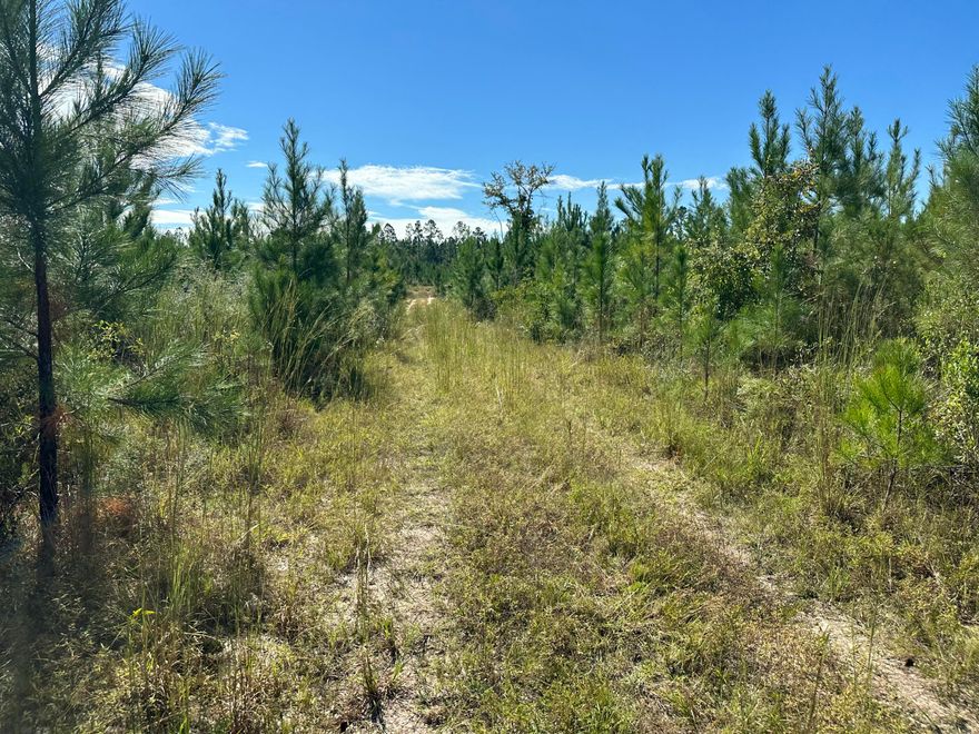 North West Florida! 03 +/-  Miles from Hwy 85, Parcel A on Millside Road is a 10 AC+/- parcel with additional land available if you desire a bigger piece of paradise for your building plans!  Location Country get Away! Bring the Horses and Barndominimum Plans Today! Lots of deer tracks,Hard Woods, planted pines ready for the recreational get away or Hobby farm! Water flows and the stars still shine bright from here! The county is working on a paving plan for Millside. Wonderful location for a first or second home, with easy commutes to: The Marquis Cinema 10: 20 min (14.6 mi)Walmart: 29 min (18.3 mi)Eglin Airforce Base: 52 min (37.7 mi)Destin: 1 hr 2 min (52.9 mi) ATTENTION: viewing is by appointment only Property is currently under 2024-2025 Hunting Season lease endin 7/31/2025
