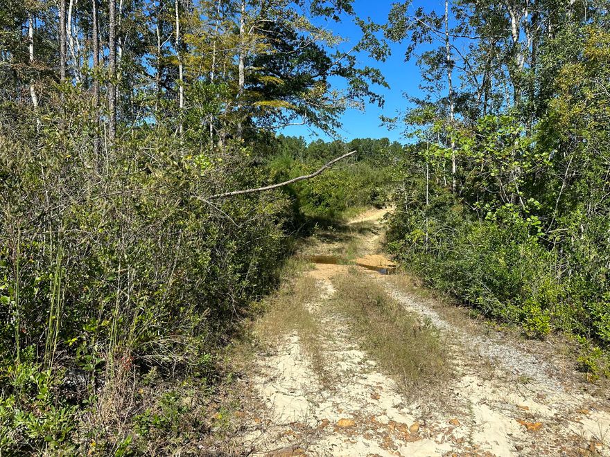 North West Florida! 03 +/-  Miles from Hwy 85, Parcel A on Millside Road is a 10 AC+/- parcel with additional land available if you desire a bigger piece of paradise for your building plans!  Location Country get Away! Bring the Horses and Barndominimum Plans Today! Lots of deer tracks,Hard Woods, planted pines ready for the recreational get away or Hobby farm! Water flows and the stars still shine bright from here! The county is working on a paving plan for Millside. Wonderful location for a first or second home, with easy commutes to: The Marquis Cinema 10: 20 min (14.6 mi)Walmart: 29 min (18.3 mi)Eglin Airforce Base: 52 min (37.7 mi)Destin: 1 hr 2 min (52.9 mi) ATTENTION: viewing is by appointment only Property is currently under 2024-2025 Hunting Season lease endin 7/31/2025