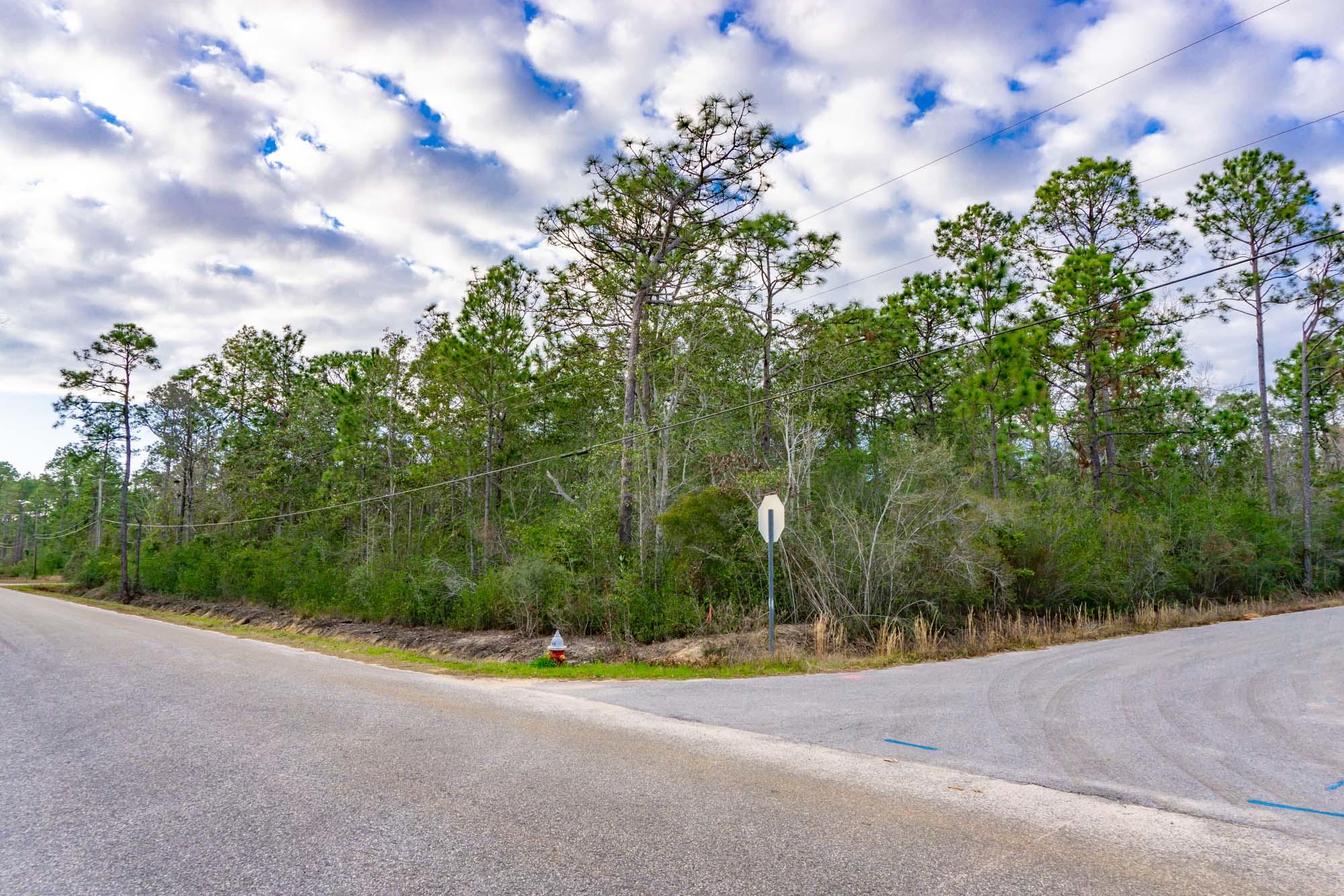 A wonderful opportunity to acquire this wooded corner lot in Avalon Beach! Just off of I-10, this neighborhood has paved roads and is just minutes to the Bayou and Bay, and is ready to be built on. Nearby you have 3 boat launches, restaurants, parks, shopping, and hospitals. Also within close proximity to Milton, Pace, Pensacola, Navarre, and Gulf Breeze. Invest in your future paradise now! All information deemed reliable and to be verified by the buyer.