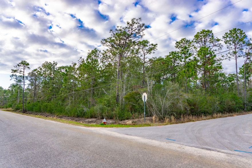 A wonderful opportunity to acquire this wooded corner lot in Avalon Beach!  Just off of I-10, this neighborhood has paved roads and is just minutes to the Bayou and Bay, and is ready to be built on. Nearby you have 3 boat launches, restaurants, parks, shopping, and hospitals. Also within close proximity to Milton, Pace, Pensacola, Navarre, and Gulf Breeze.  Invest in your future paradise now! All information deemed reliable and to be verified by the buyer.