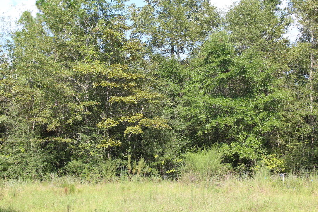 24 ACRES - Land