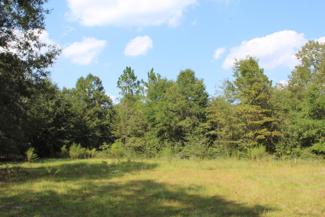 24 ACRES - Land