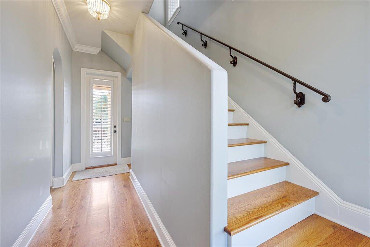 SAINT TROPEZ - Residential