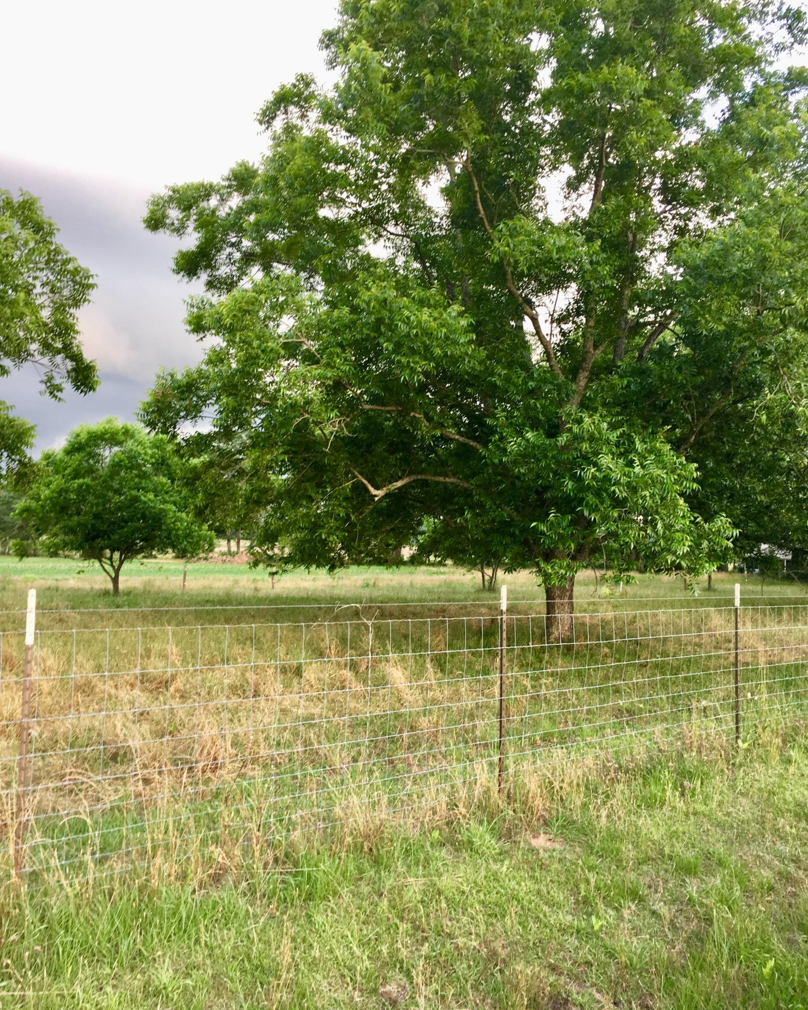 METES & BOUNDS - Land