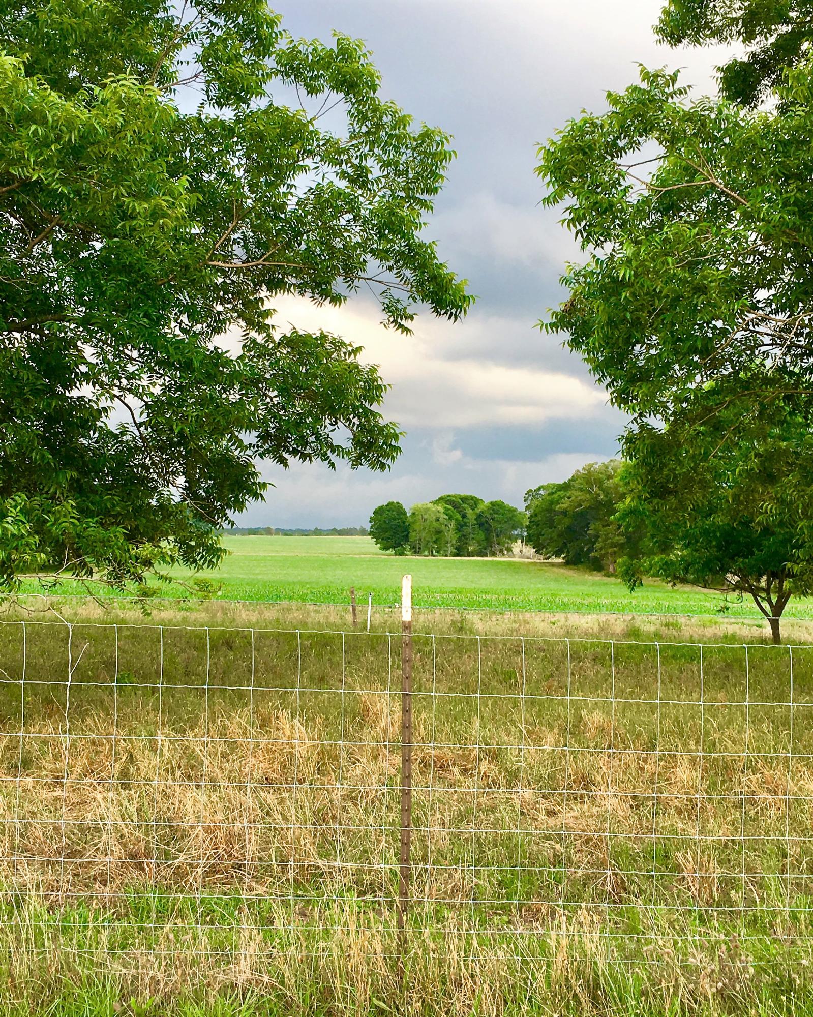 Beautiful location for that big dream house to be built. Property has been used for agriculture in the past, and years ago a pecan orchard. There is a small seasonal wet pond in the NE corner.