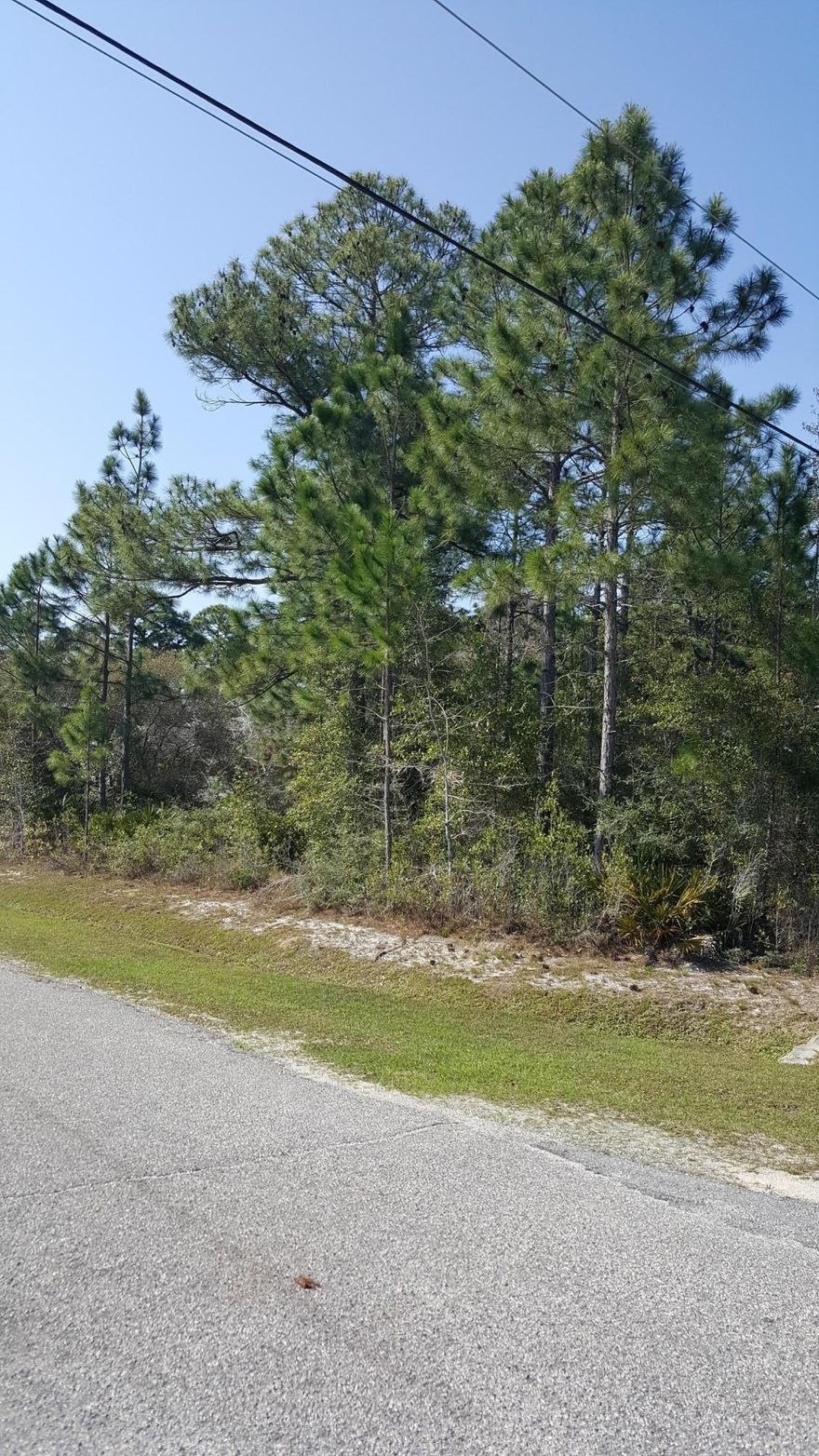 High and dry corner lot in HBTS on Sawfish that has recently had high end homes being built on the street. Holley By The Sea has numerous amenities to include pools, tennis courts, gym, pavilions and private boat ramp.