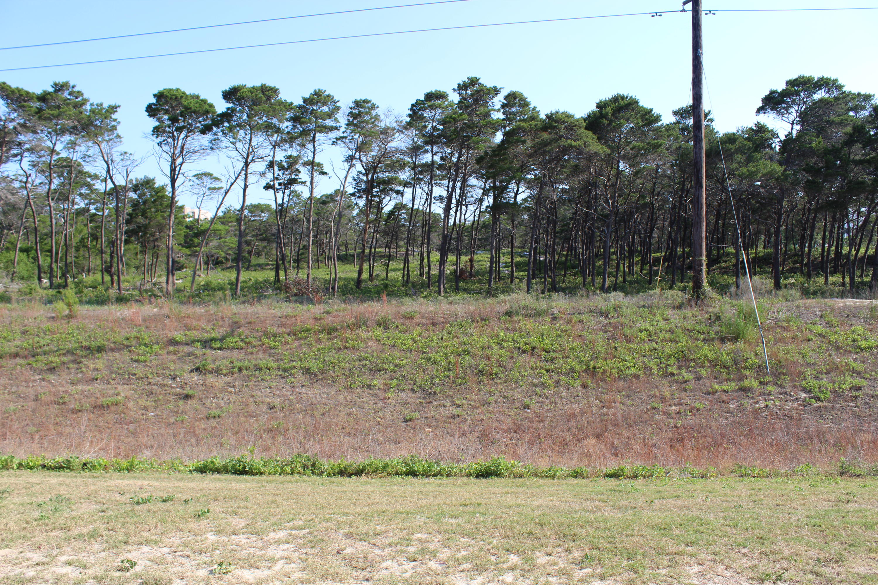 OLD BAY T/H - Residential