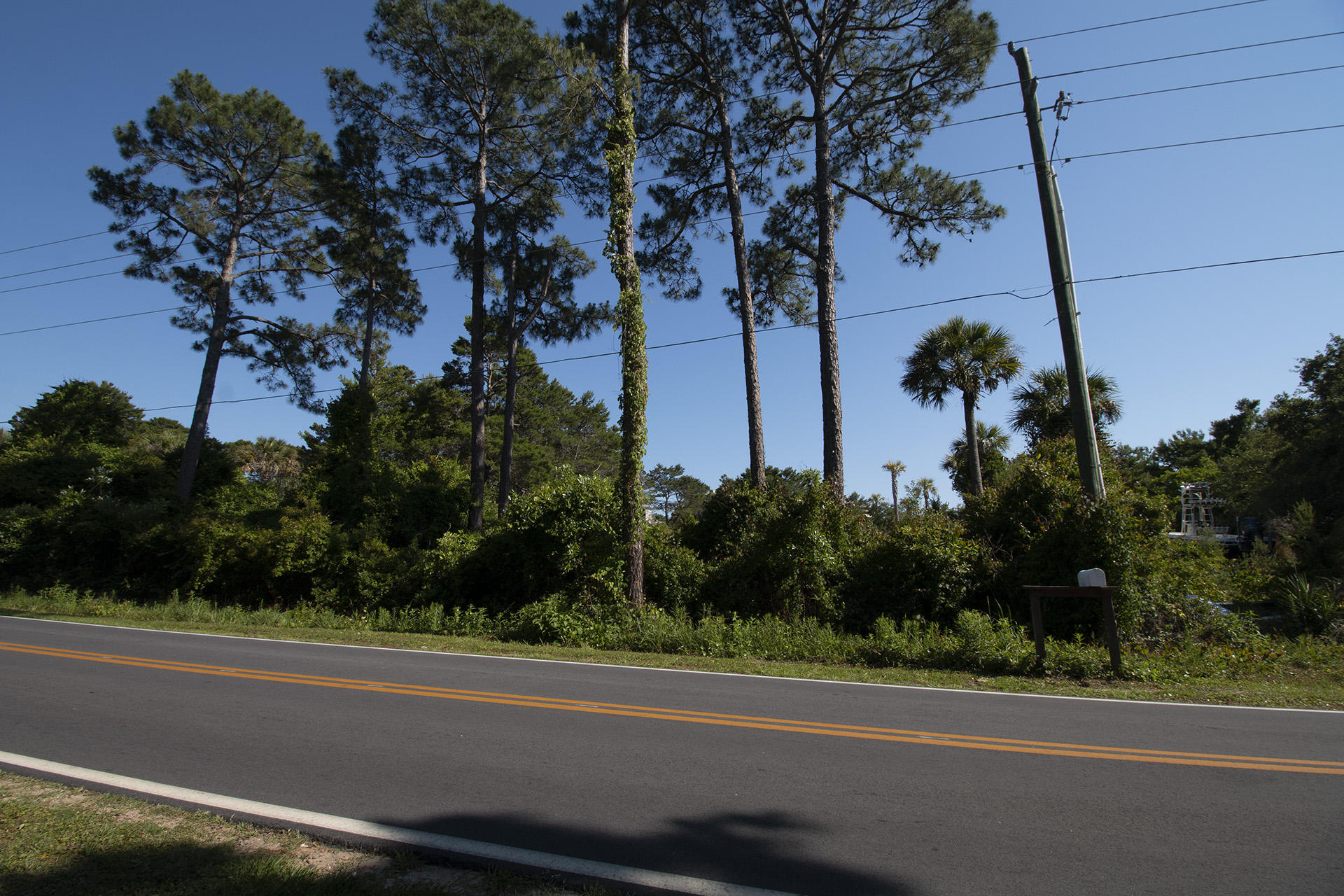Beautiful .20 Acre lot only a short walk to the emerald green waters and white sand beaches. Don't miss this amazing opportunity to build your dream home, just a short distance from miles of walking & bike trails, 3 public beach accesses, Gulf Place Town Center, & Santa Rosa Beach Golf & Beach Club. Tap Fees Paid. See you at the Beach!