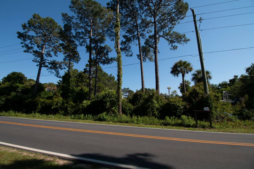 Beautiful .20 Acre lot only a short walk to the emerald green waters and white sand beaches. Don't miss this amazing opportunity to build your dream home, just a short distance from miles of walking & bike trails, 3 public beach accesses, Gulf Place Town Center, & Santa Rosa Beach Golf & Beach Club. Tap Fees Paid. See you at the Beach!