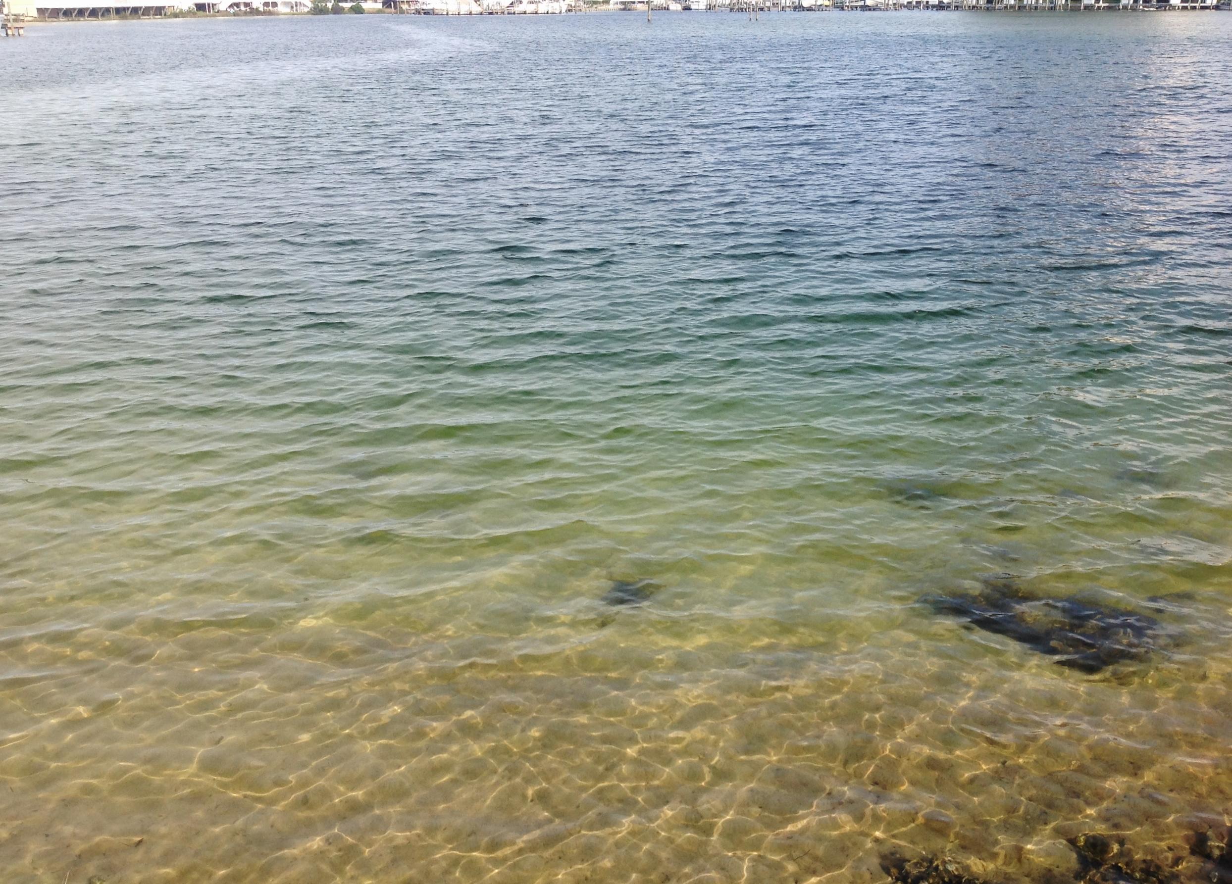 DOLPHIN POINT CONDO - Residential