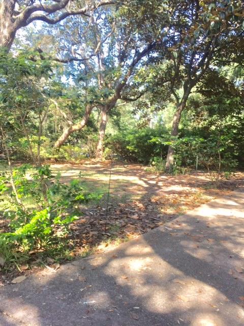 WOODLAND SHORES - Residential