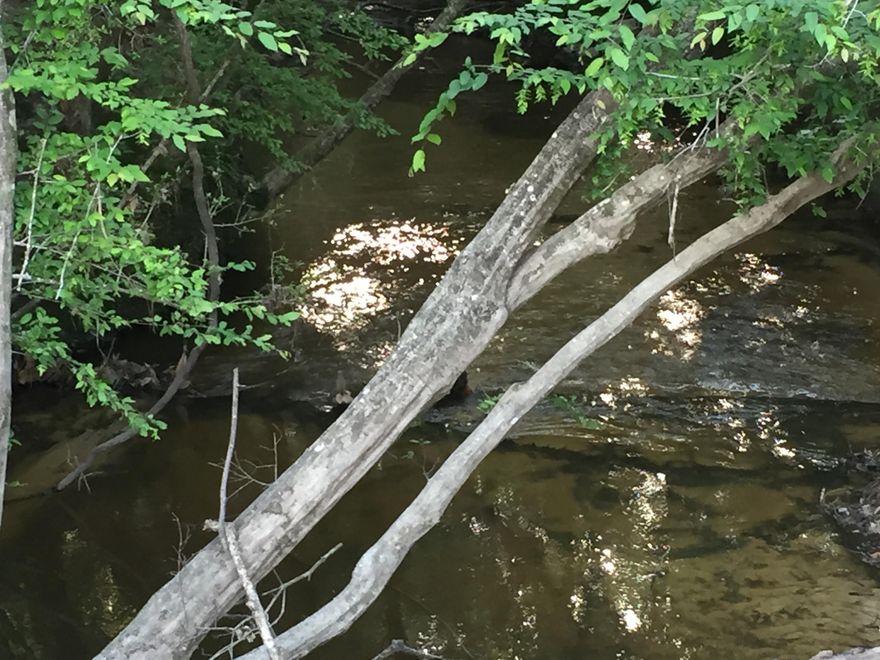 A 20 ACRE TRACT THAT CONTAINS BEAUTIFUL PANTHER CREEK RUNNING THRU THE N/W CORNER.MIXED HARDWOODS AND NATURAL GROWTH.A WELL MAITAINED EASEMENT OFF OF RED BRIDGE ROAD WILL TAKE YOU OFF THE MAIN ROAD TO SECLUSION.