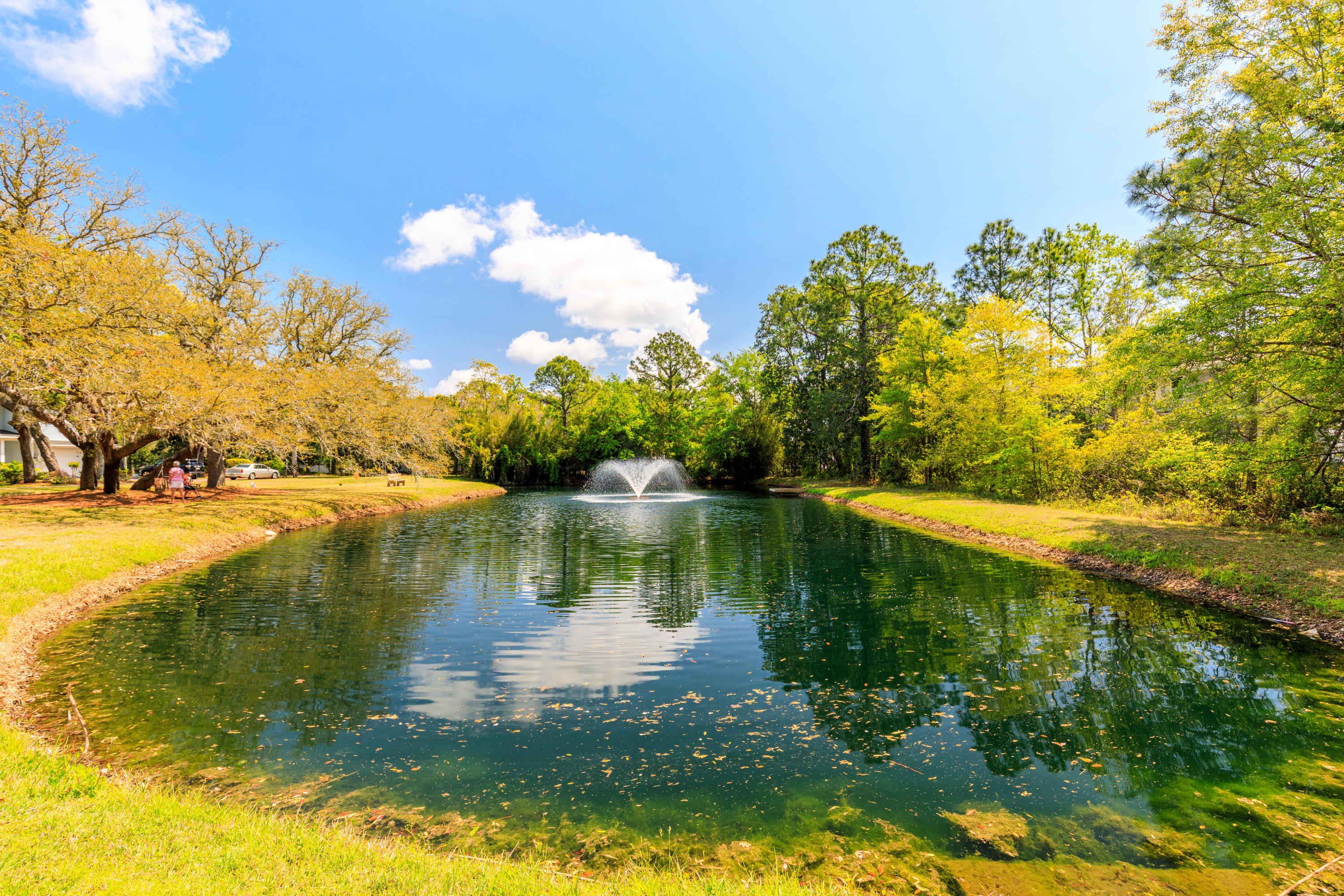 CARSON OAKS - Residential