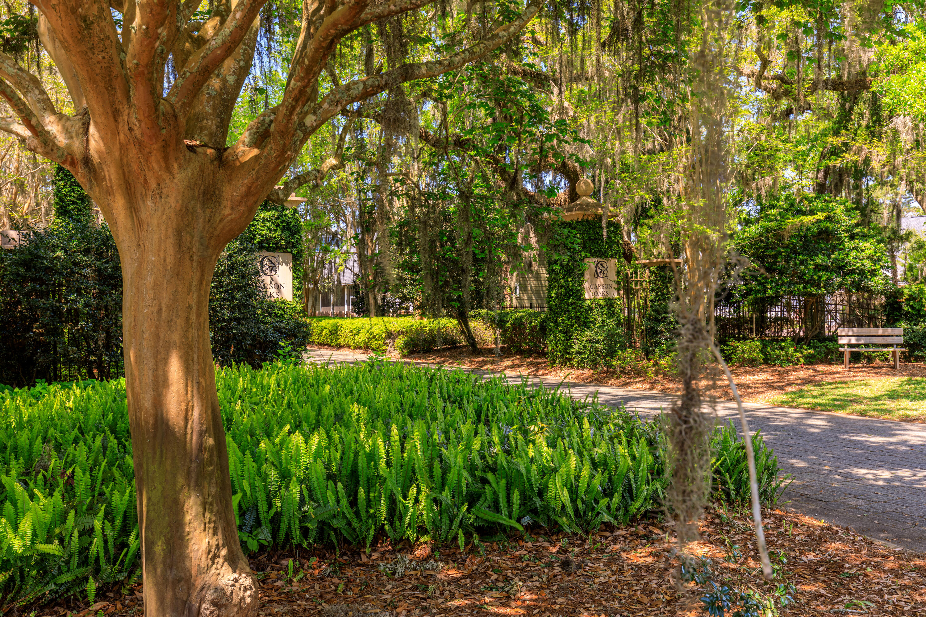 CARSON OAKS - Residential