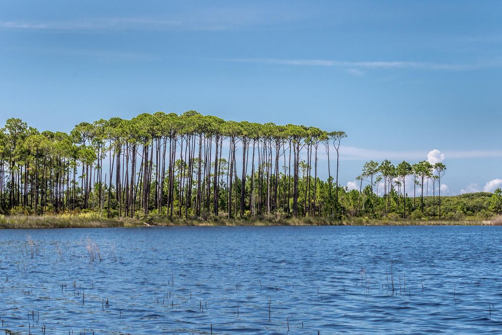 listing image 82