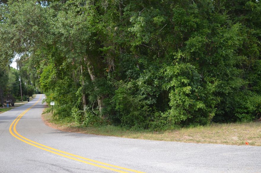 Great corner lot across the street from the Bay. Only 2 miles from Choctaw Beach, which has public boat ramp to the Bay, and a nice picnic/play area. Mature trees will make a beautiful setting for your new home. Possible owner financing.