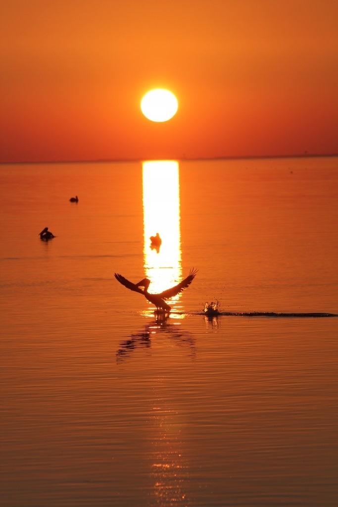 SUNSET BEACH - Residential