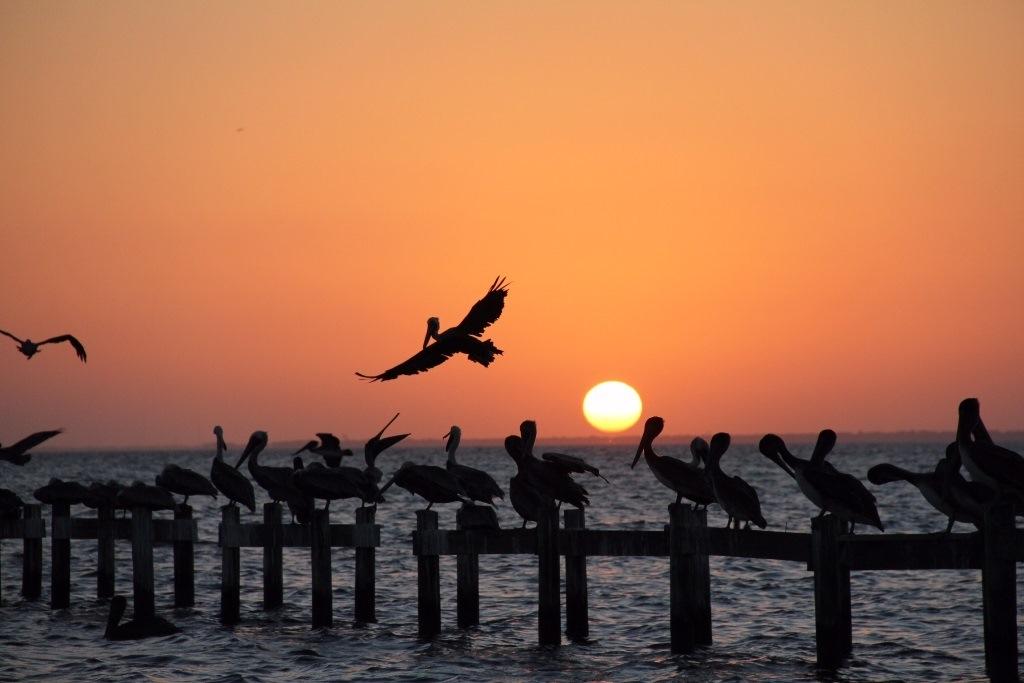 SUNSET BEACH - Residential