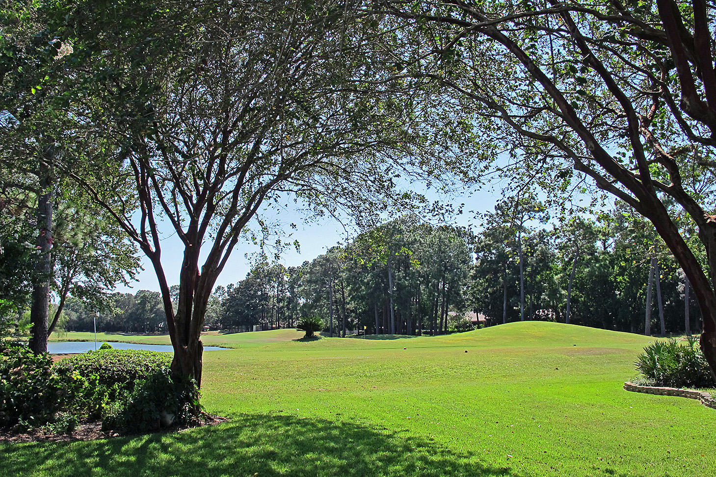 PALMETTO DUNES - Residential