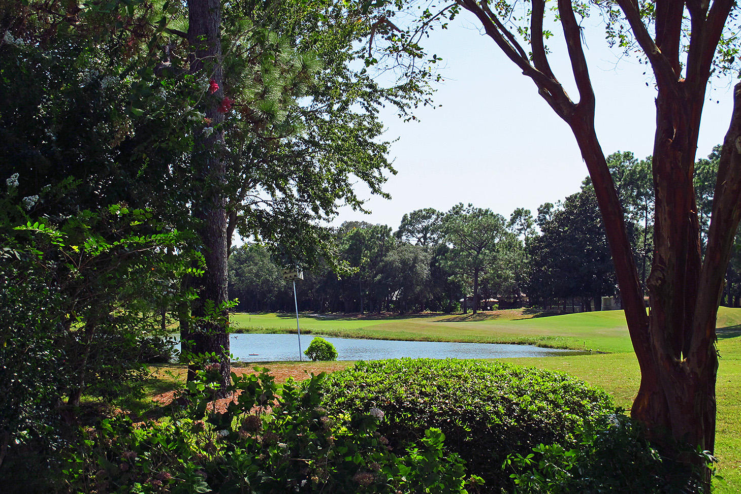 PALMETTO DUNES - Residential