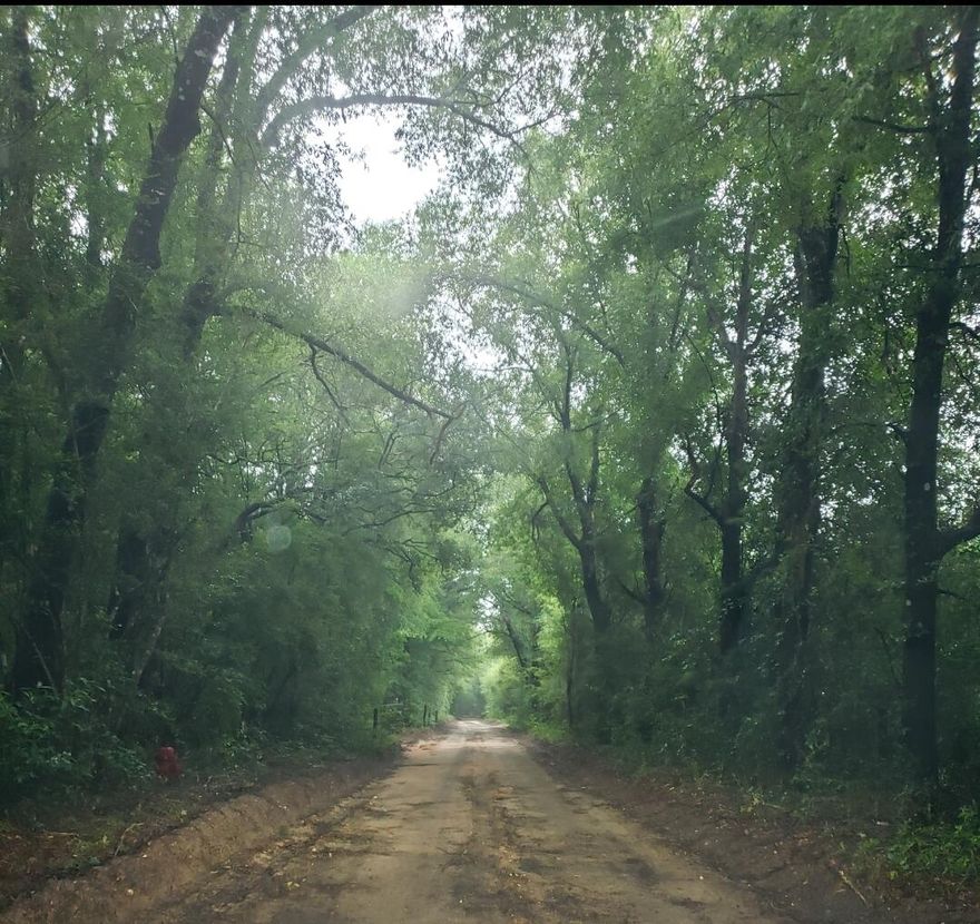 Great property with hardwood trees and plenty of wildlife. Hunt your own property or build your country home, water tap on site. Perk test has been done and it does NOT need a mound septic system. Survey available. Lots of opportunities with this hidden gem!