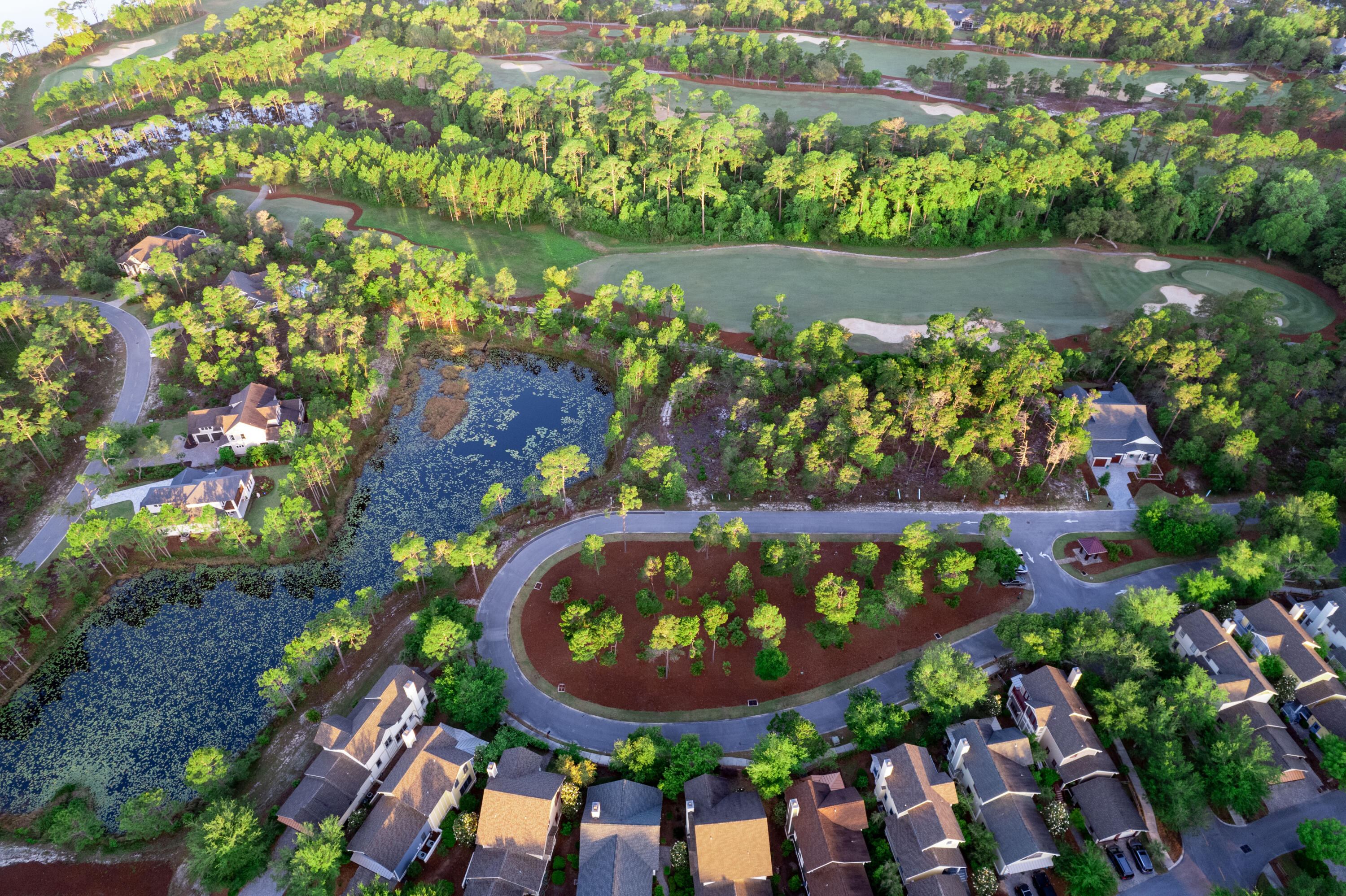 Wild Heron Phase VI - Land