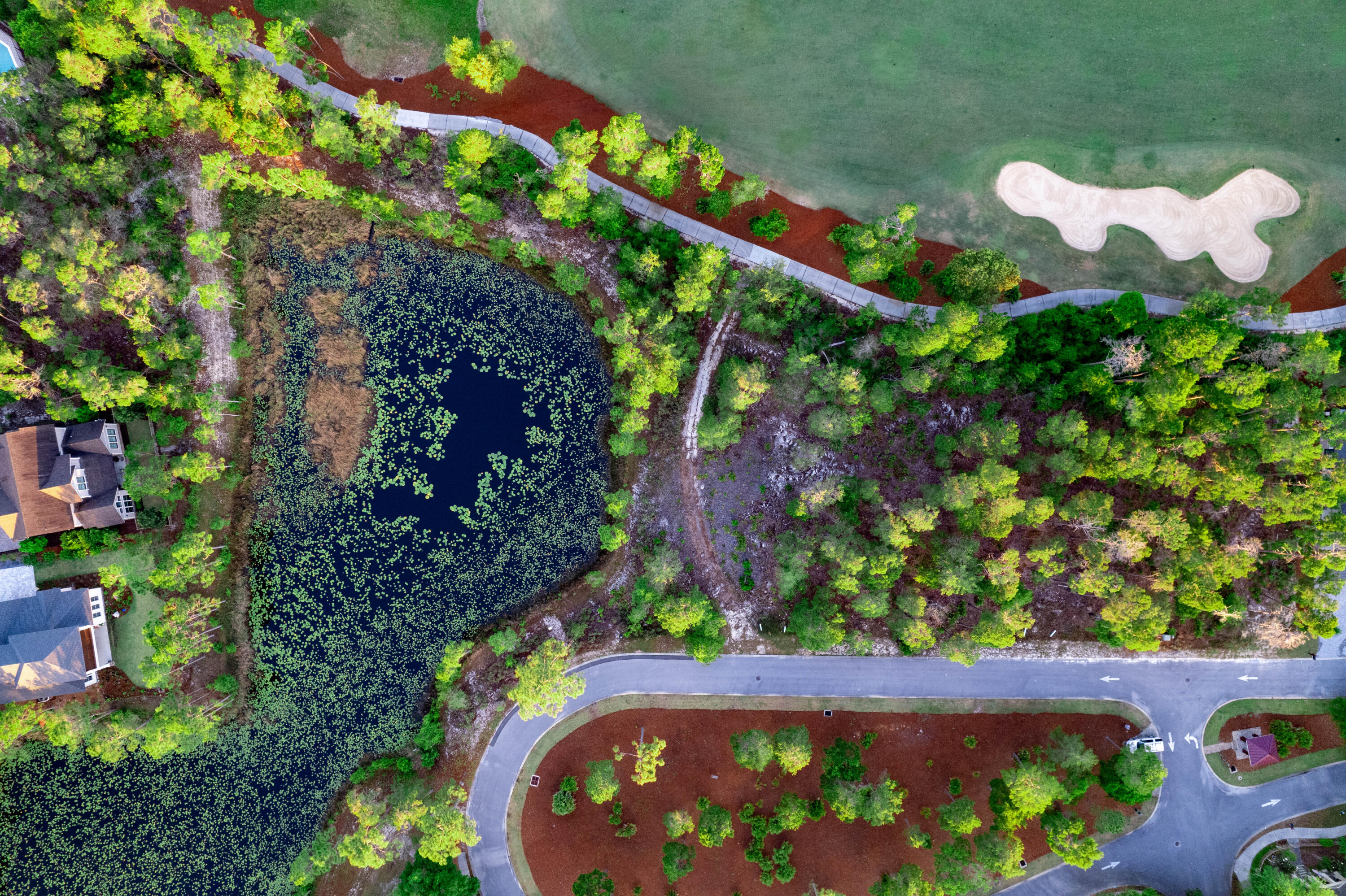 Wild Heron Phase VI - Land