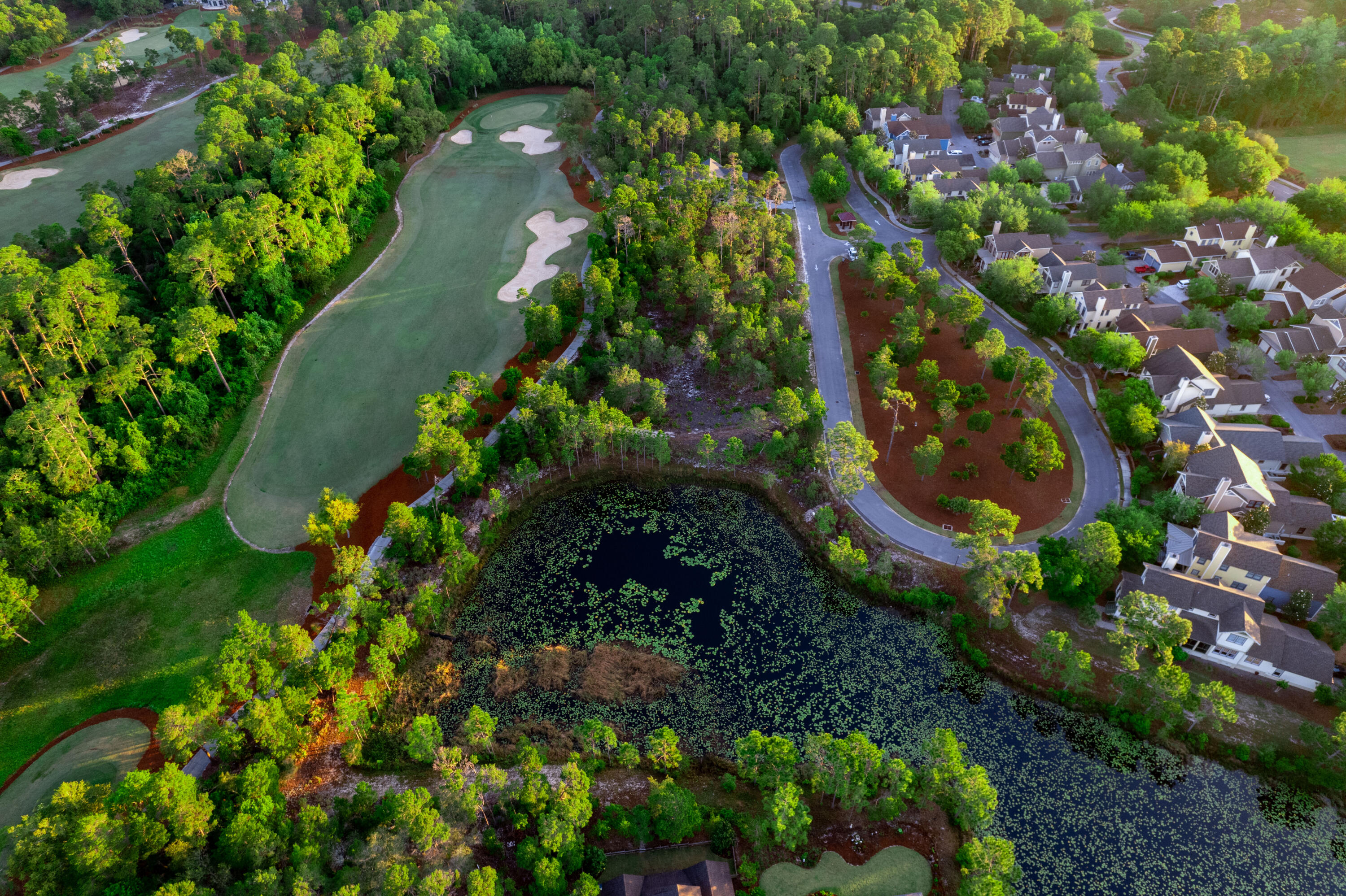 Wild Heron Phase VI - Land