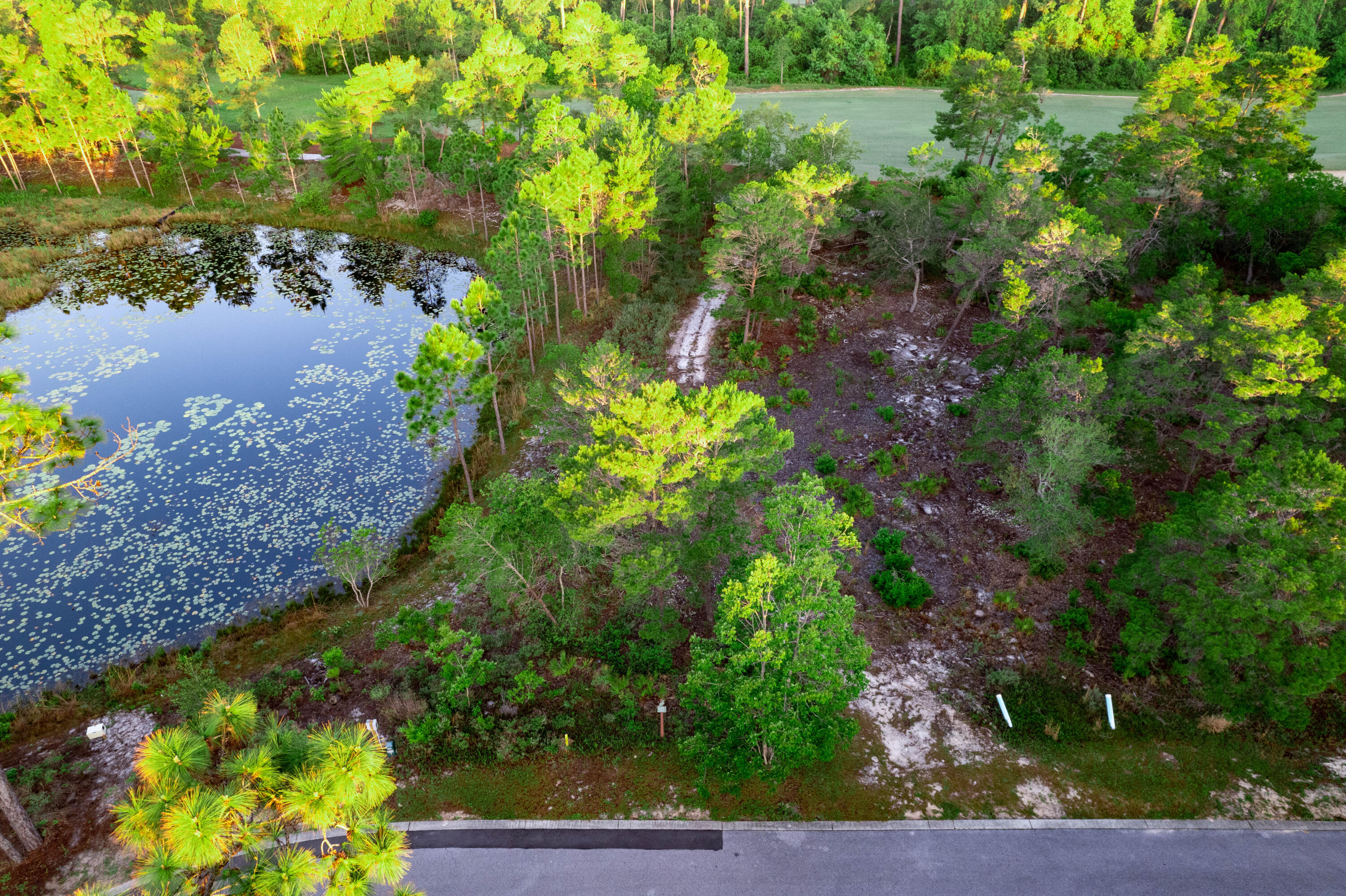 Wild Heron Phase VI - Land