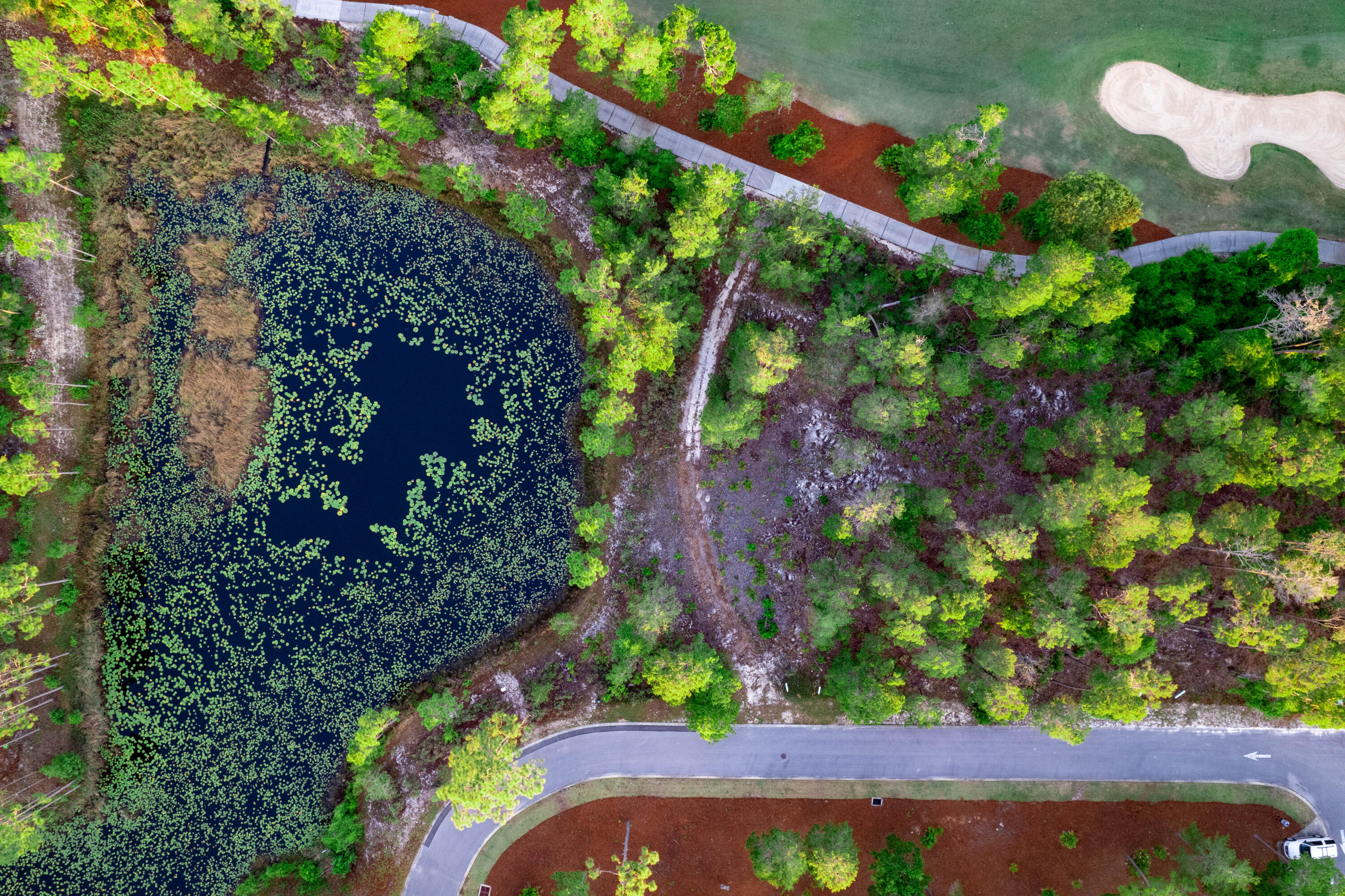 Wild Heron Phase VI - Land