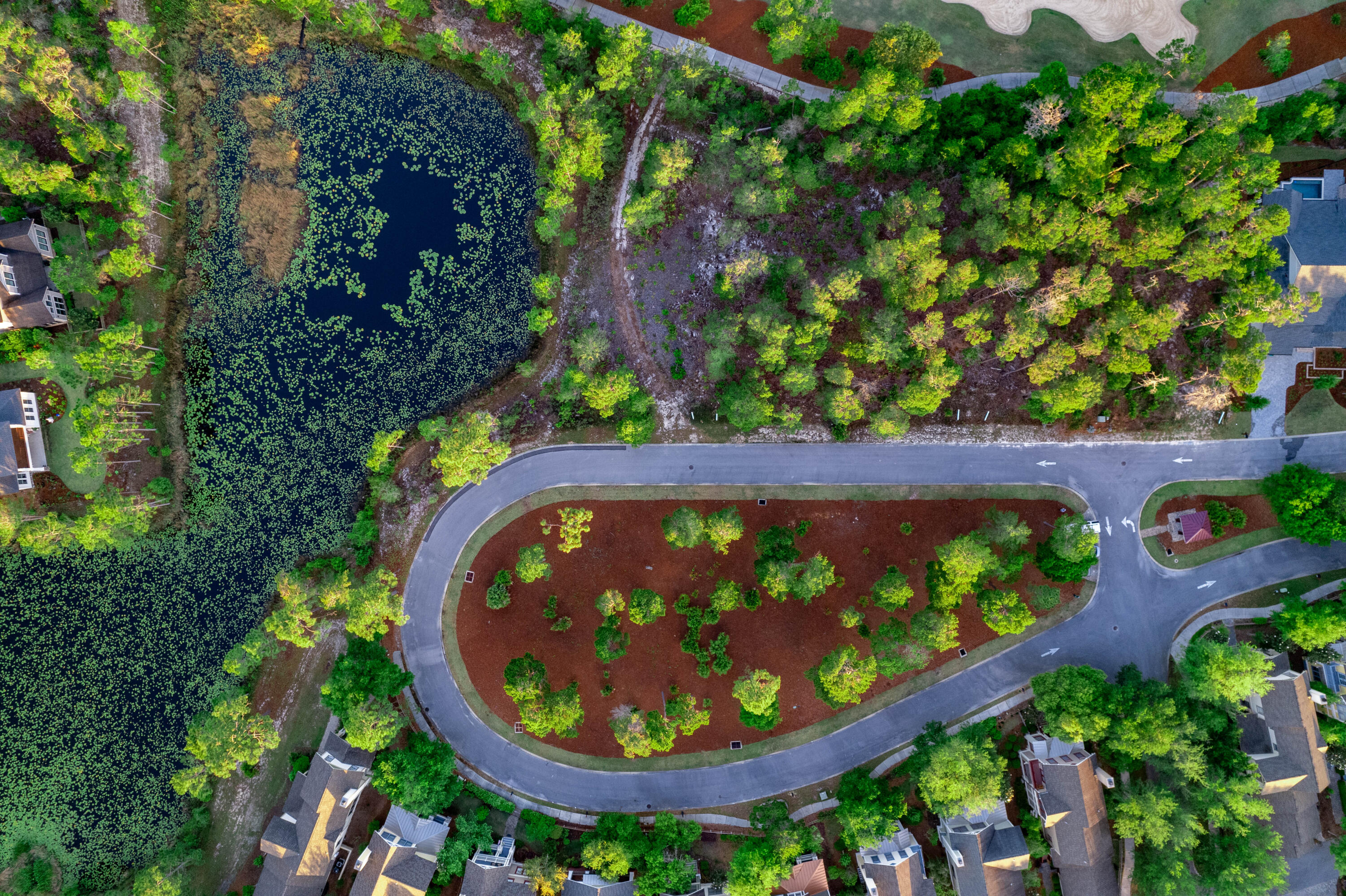 Wild Heron Phase VI - Land