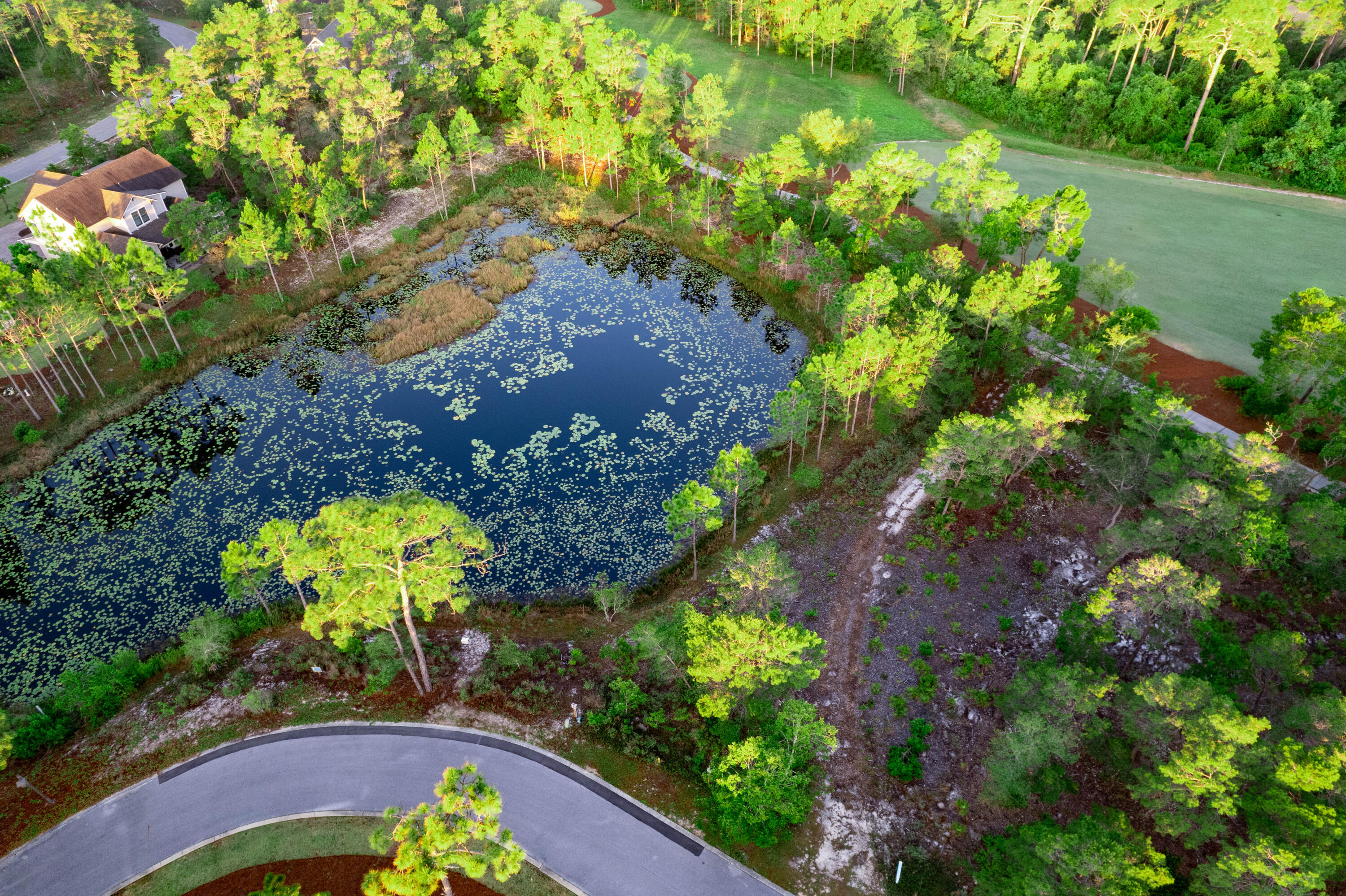 Wild Heron Phase VI - Land