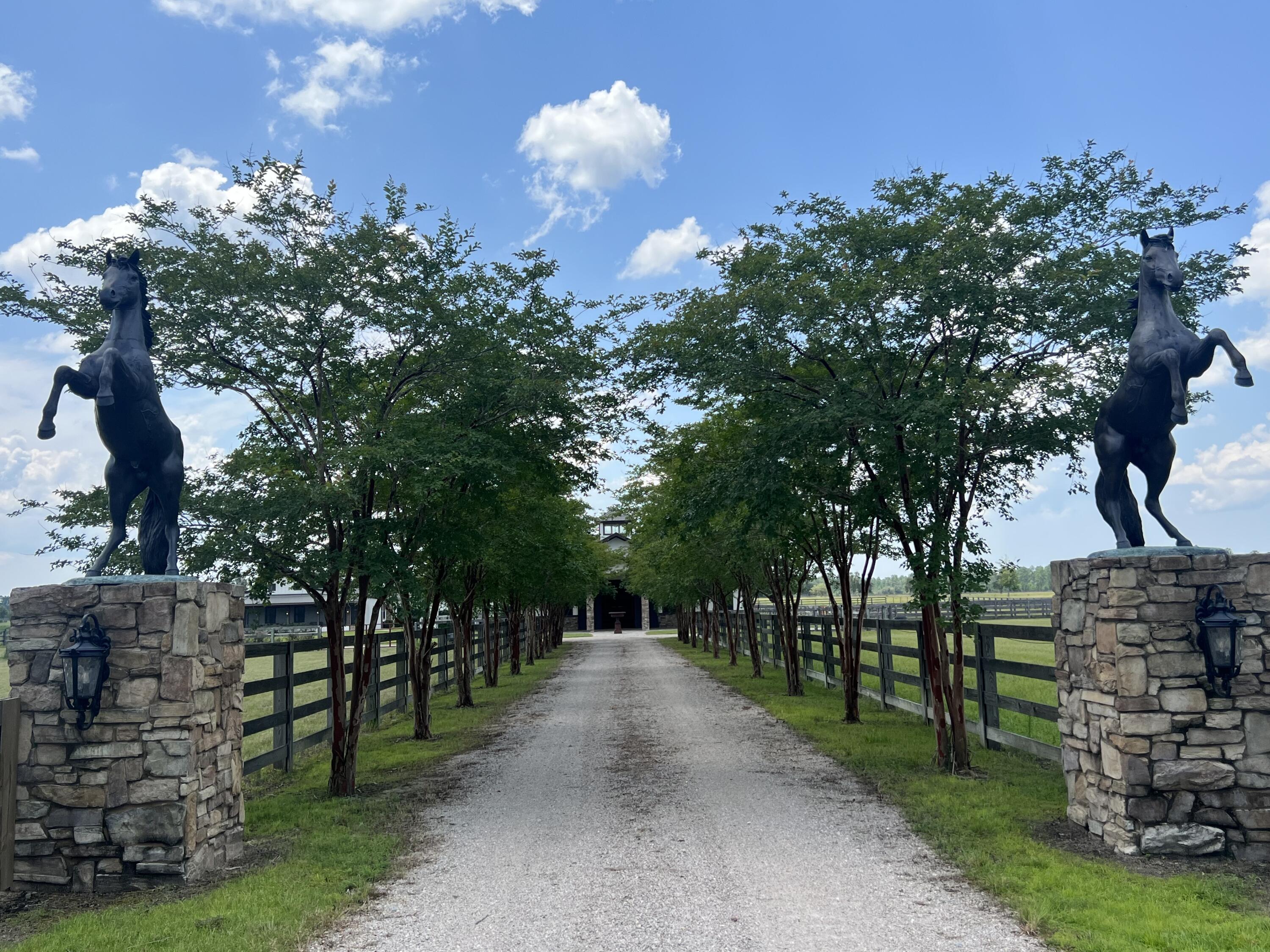 STABLES AT SANDY PINE - Farm
