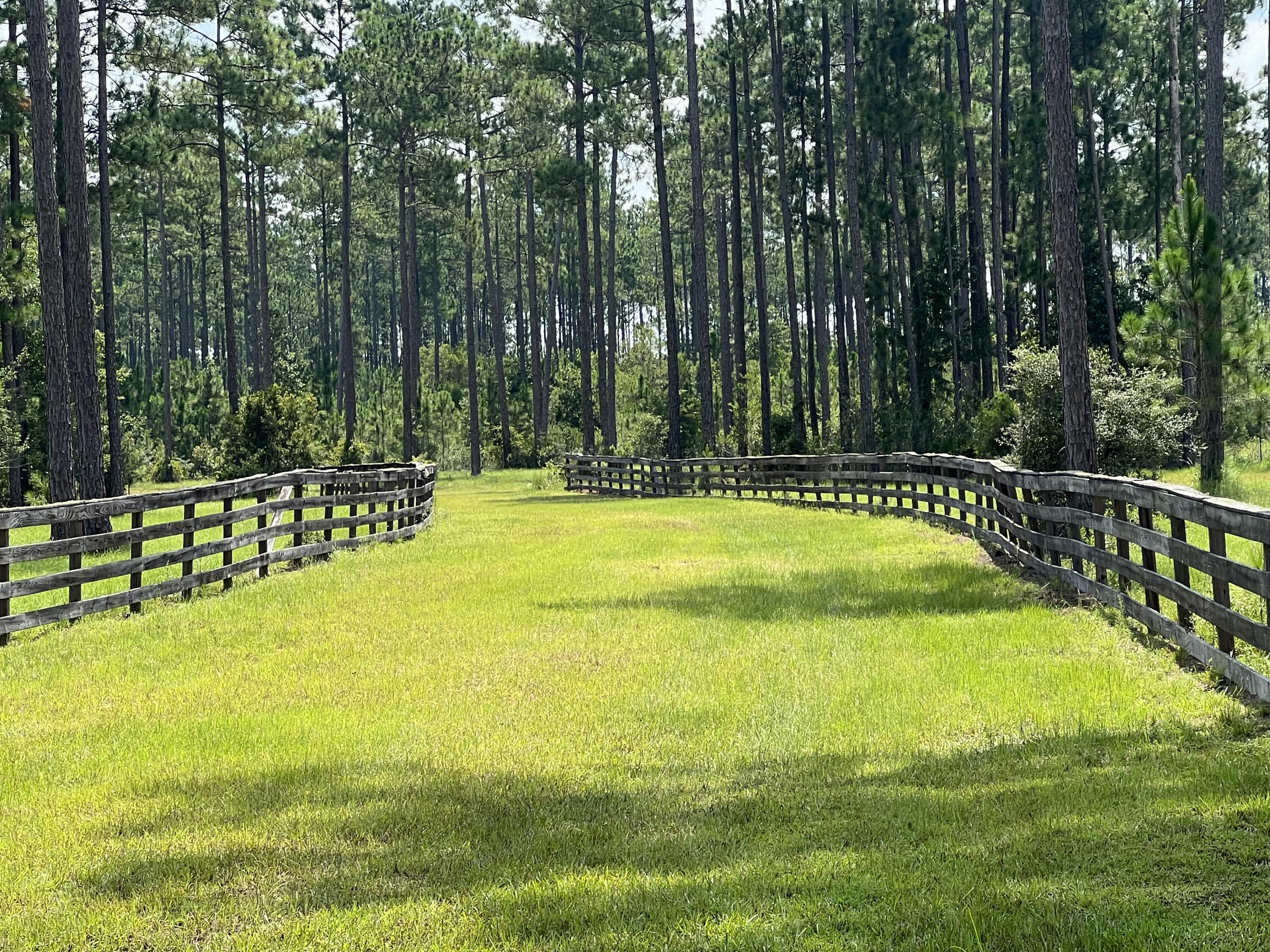 STABLES AT SANDY PINE - Farm