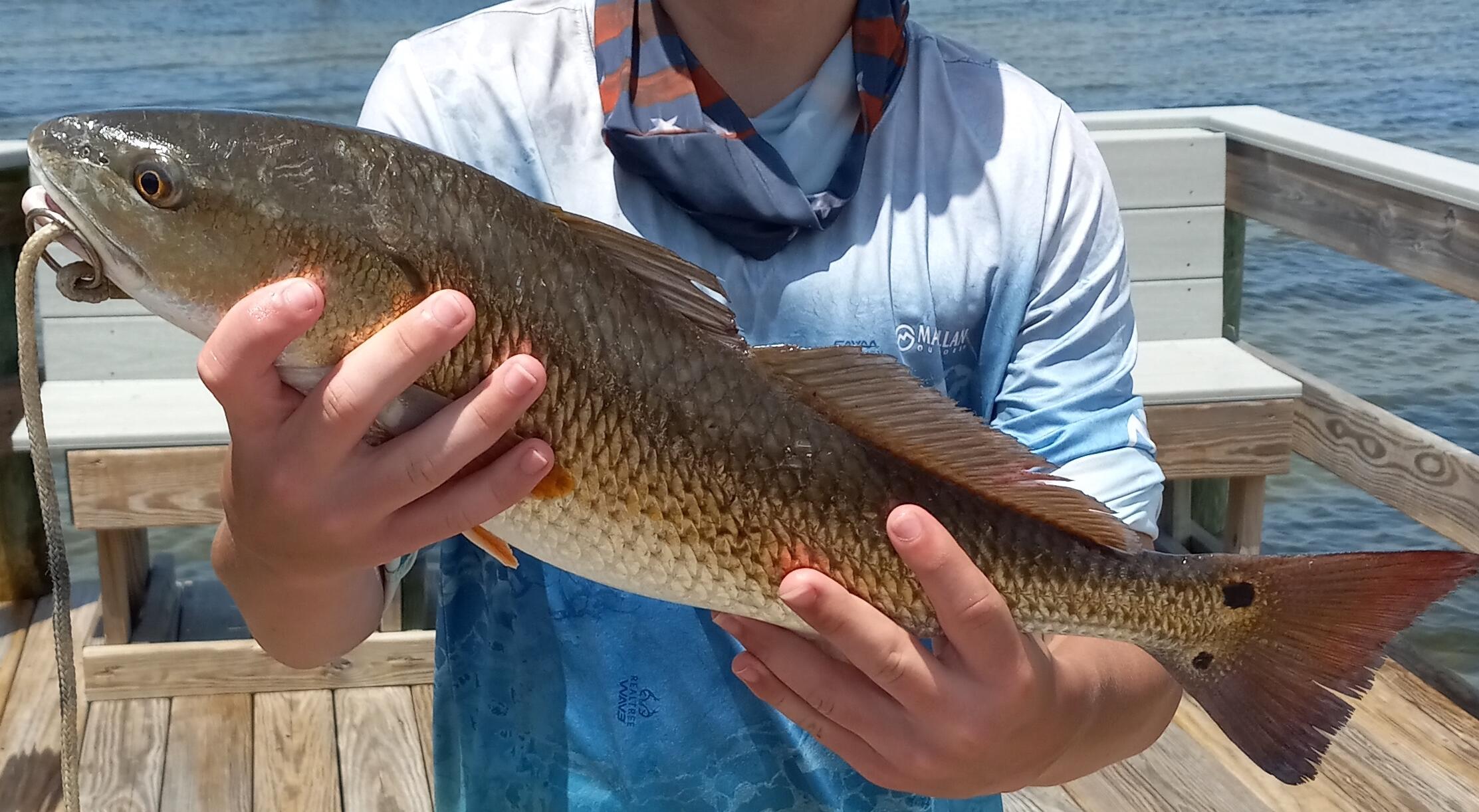 BAYSIDE PH 1 - Residential